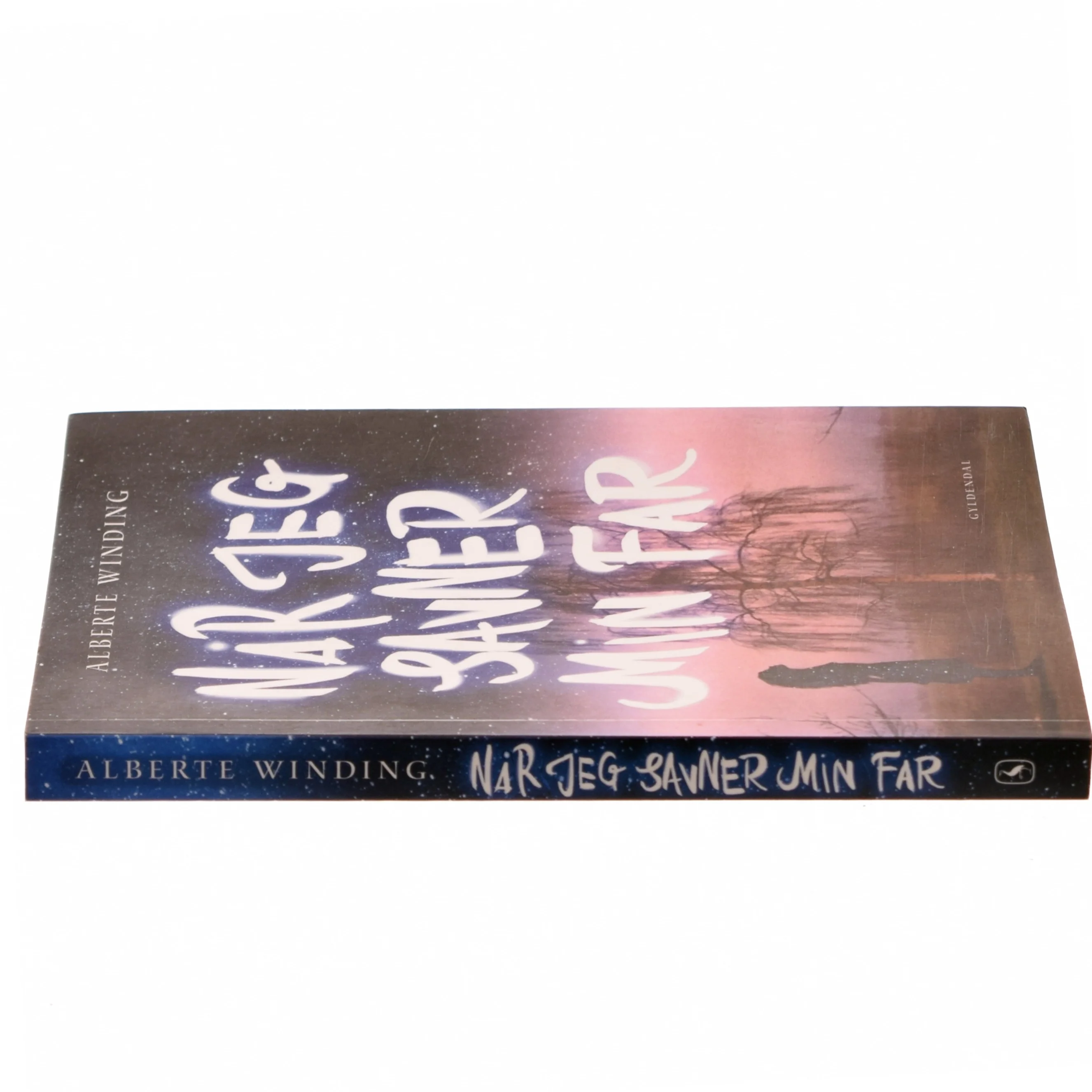 Når jeg savner min far af Alberte Winding (Bog)