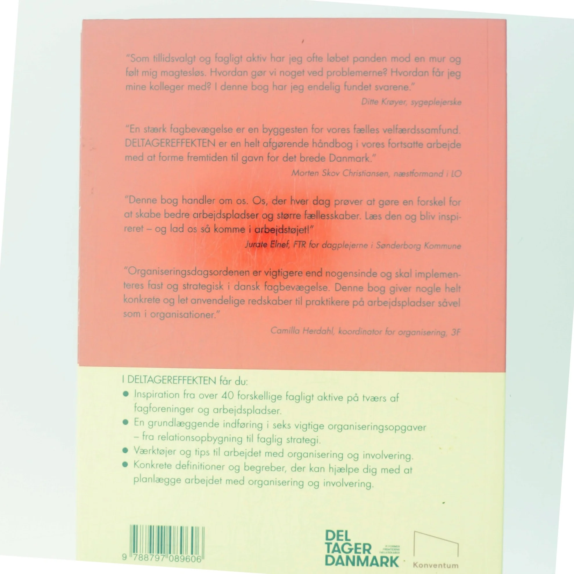 Deltagereffekten (Bog)