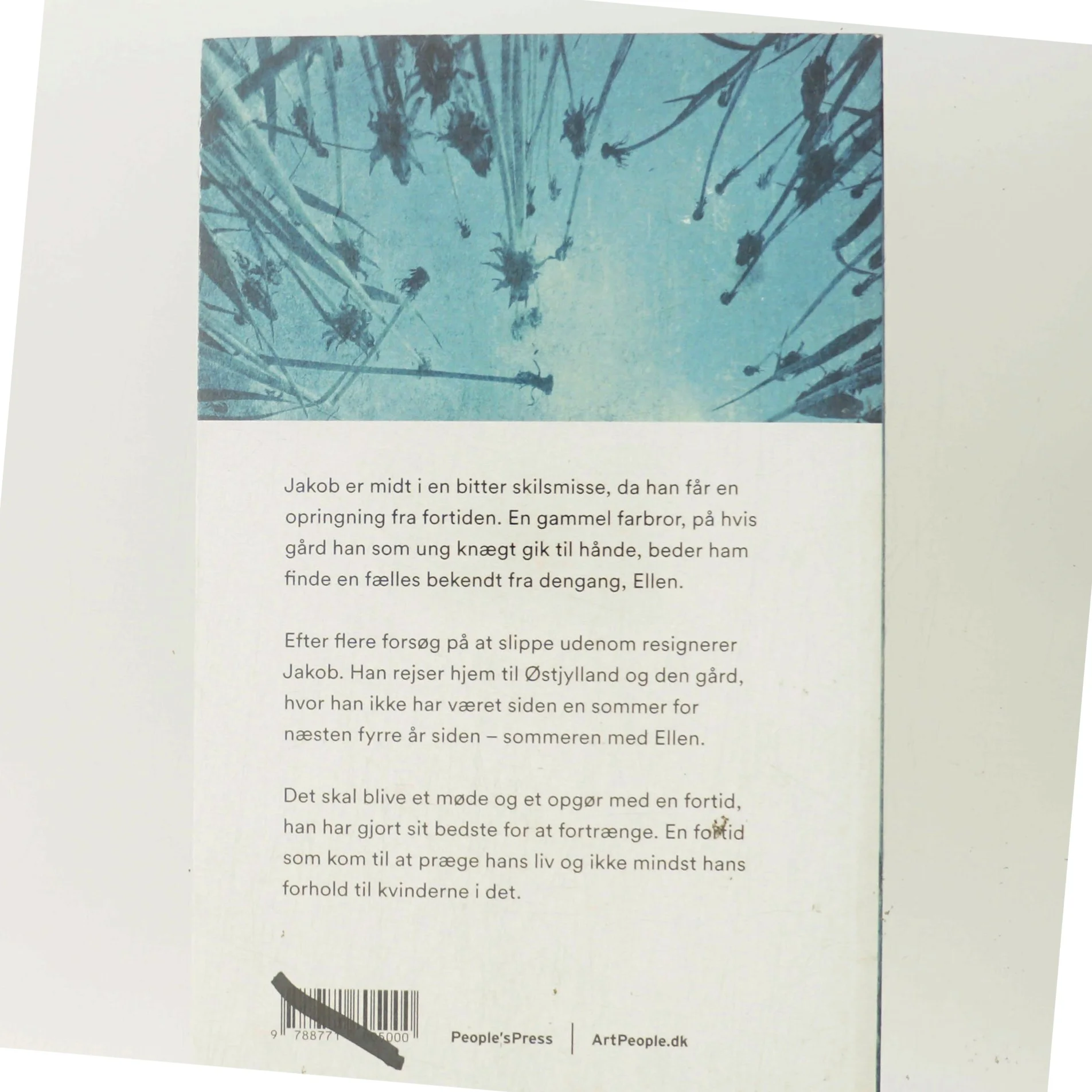 Sommeren med Ellen af Agnete Friis (Bog)