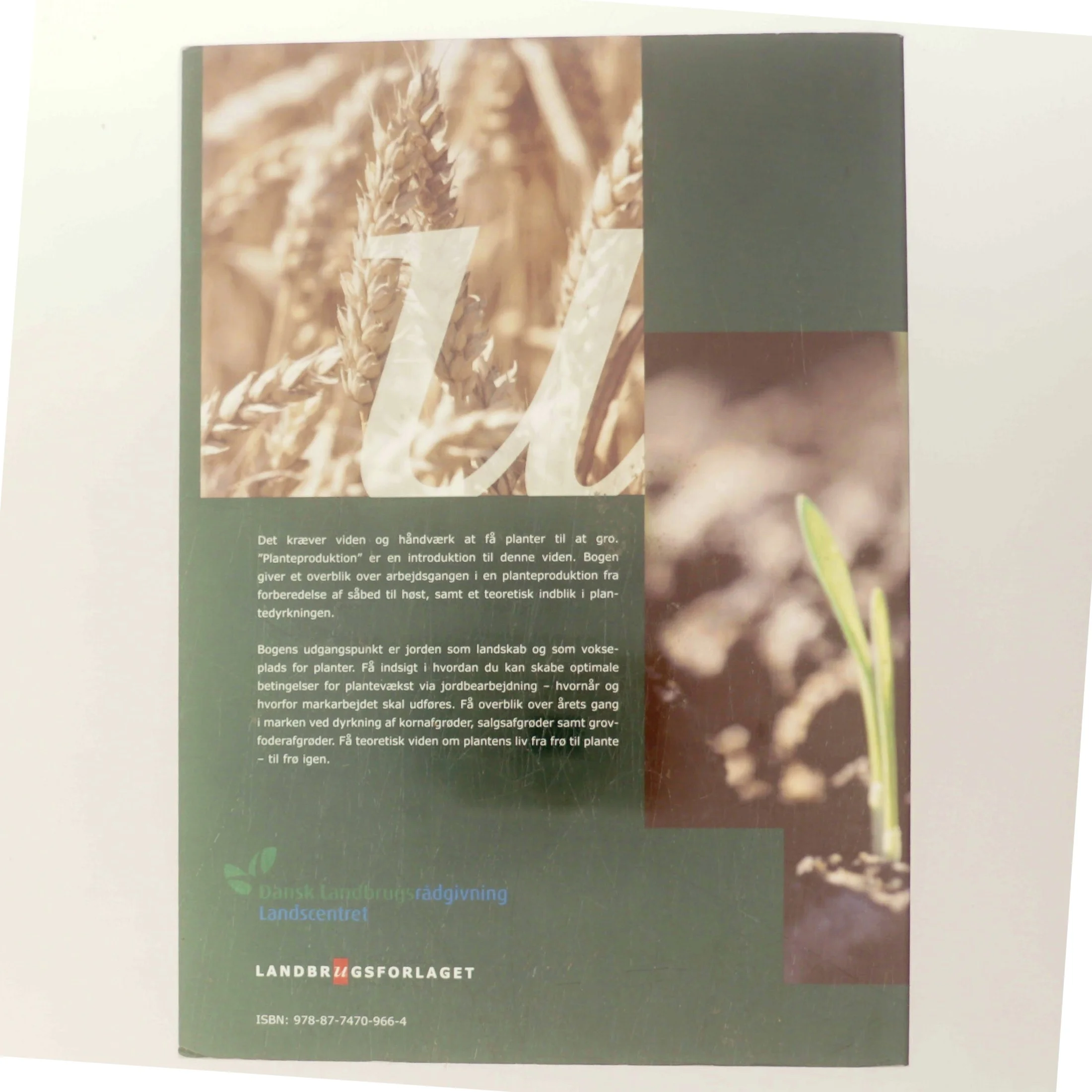 Planteproduktion af Dansk Landbrugsrådgivning Landscentret (Bog)