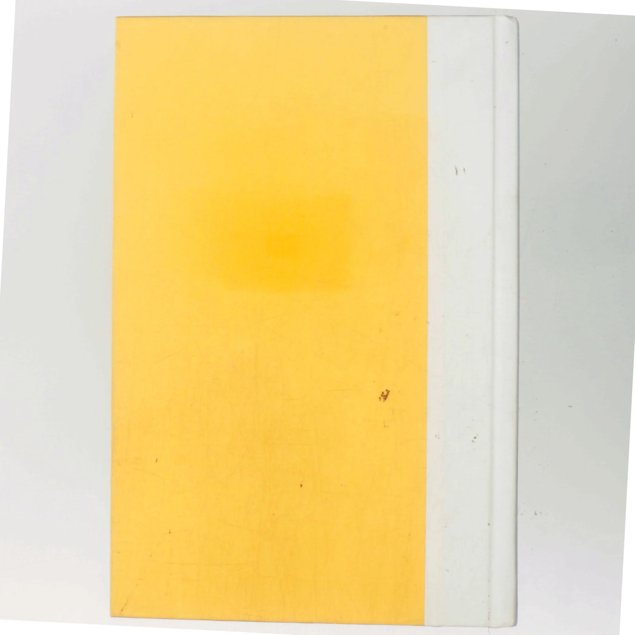 Good Arguments af Bo Seo (Bog)