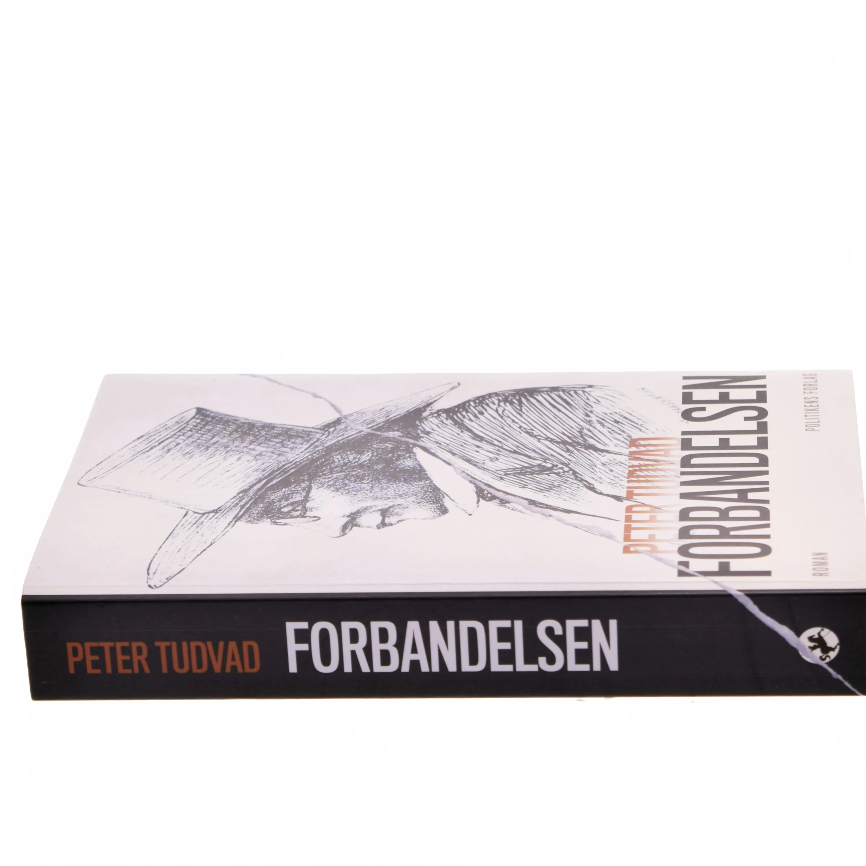 Forbandelsen af Peter Tudvad (Bog)
