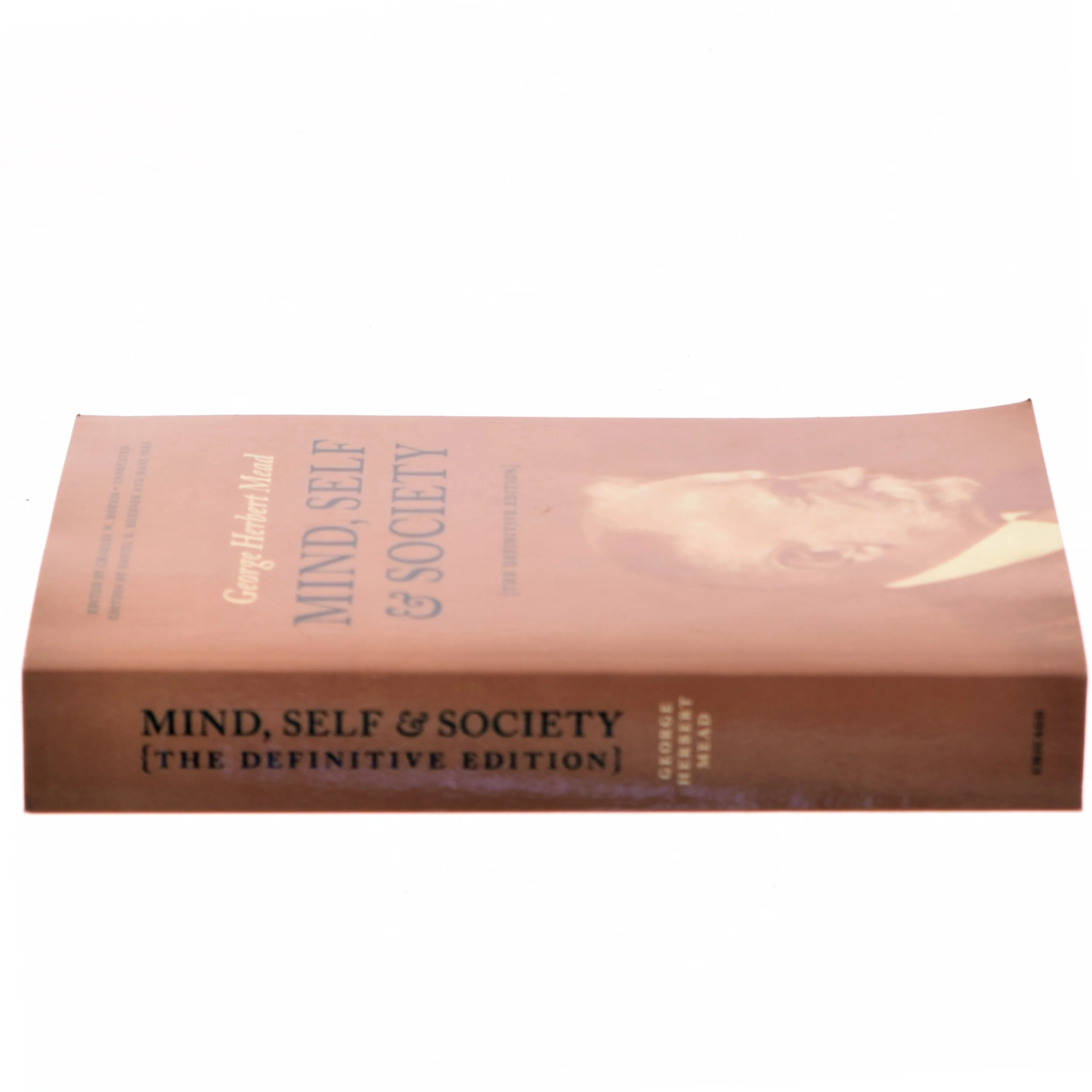 Mind, self & society af George Herbert Mead (1863-1931) (Bog)