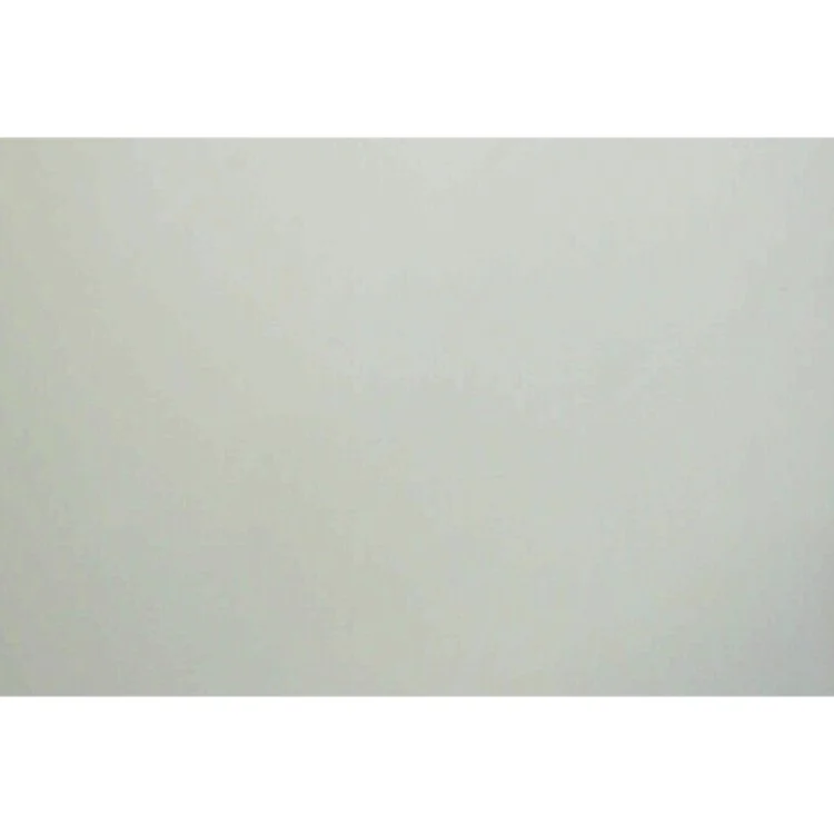 The vampire diaries. #3, Raseriet af L. J. Smith (Bog)