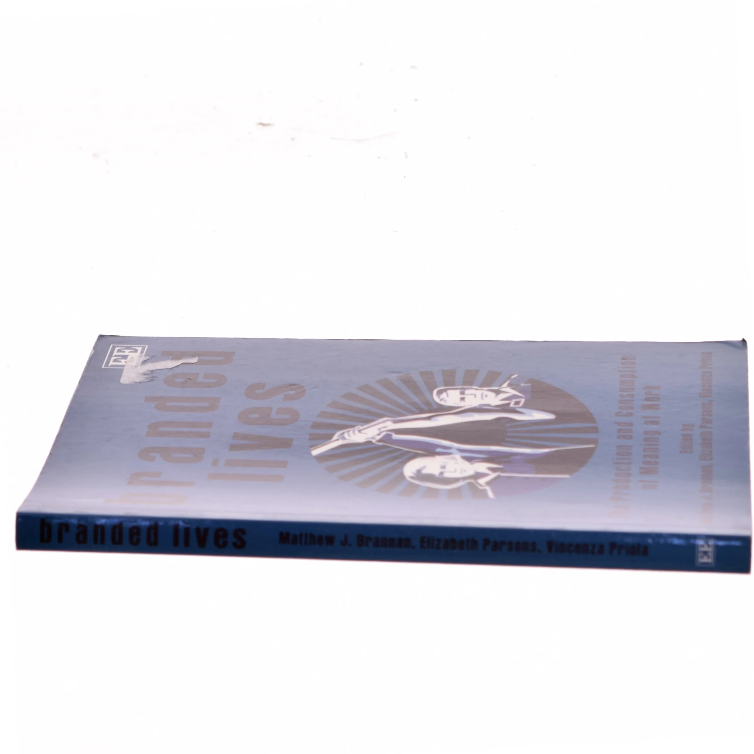 Branded lives : the production and consumption of meaning at work (Bog)