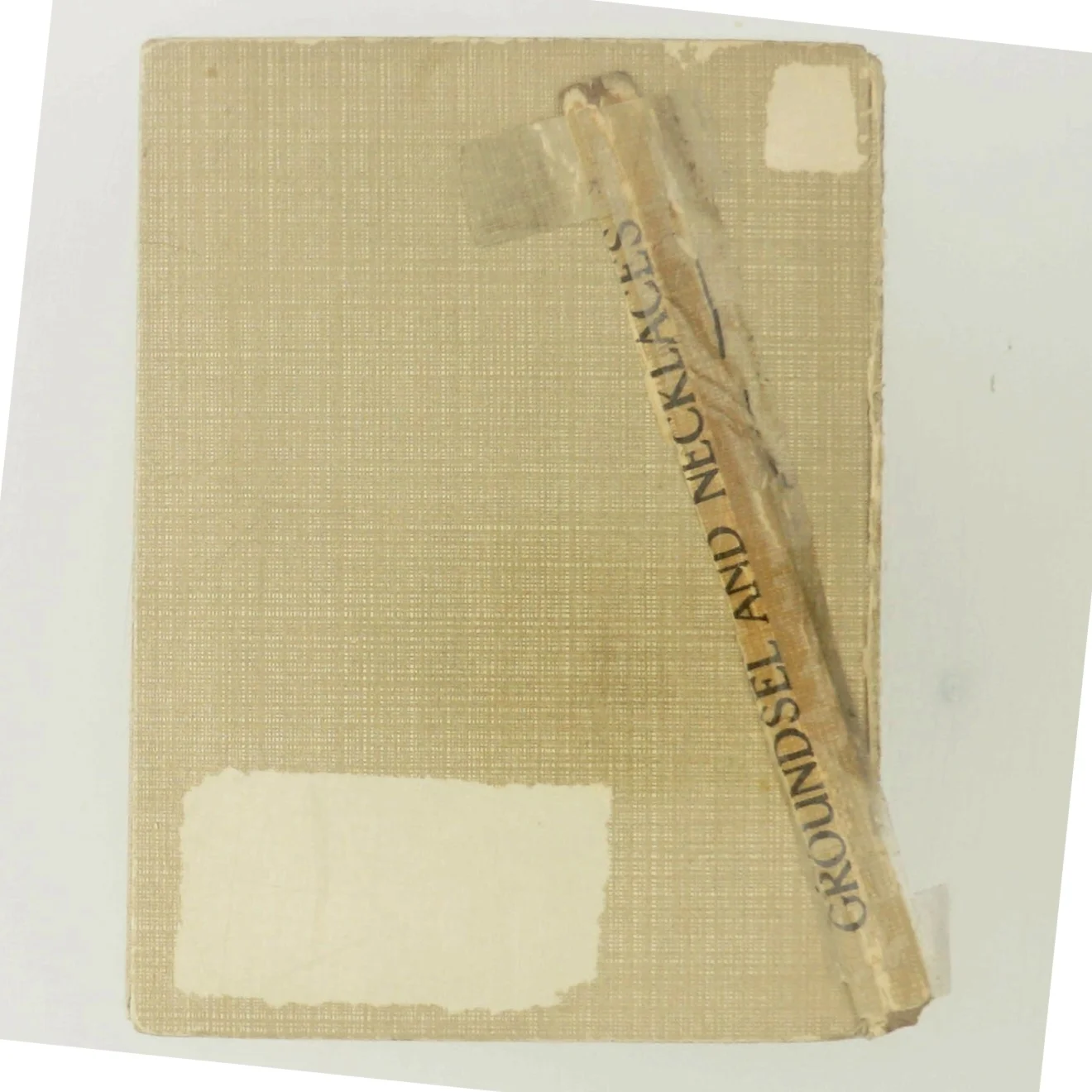 Groundsel and Necklaces af Cicely Mary Barker  (Bog)