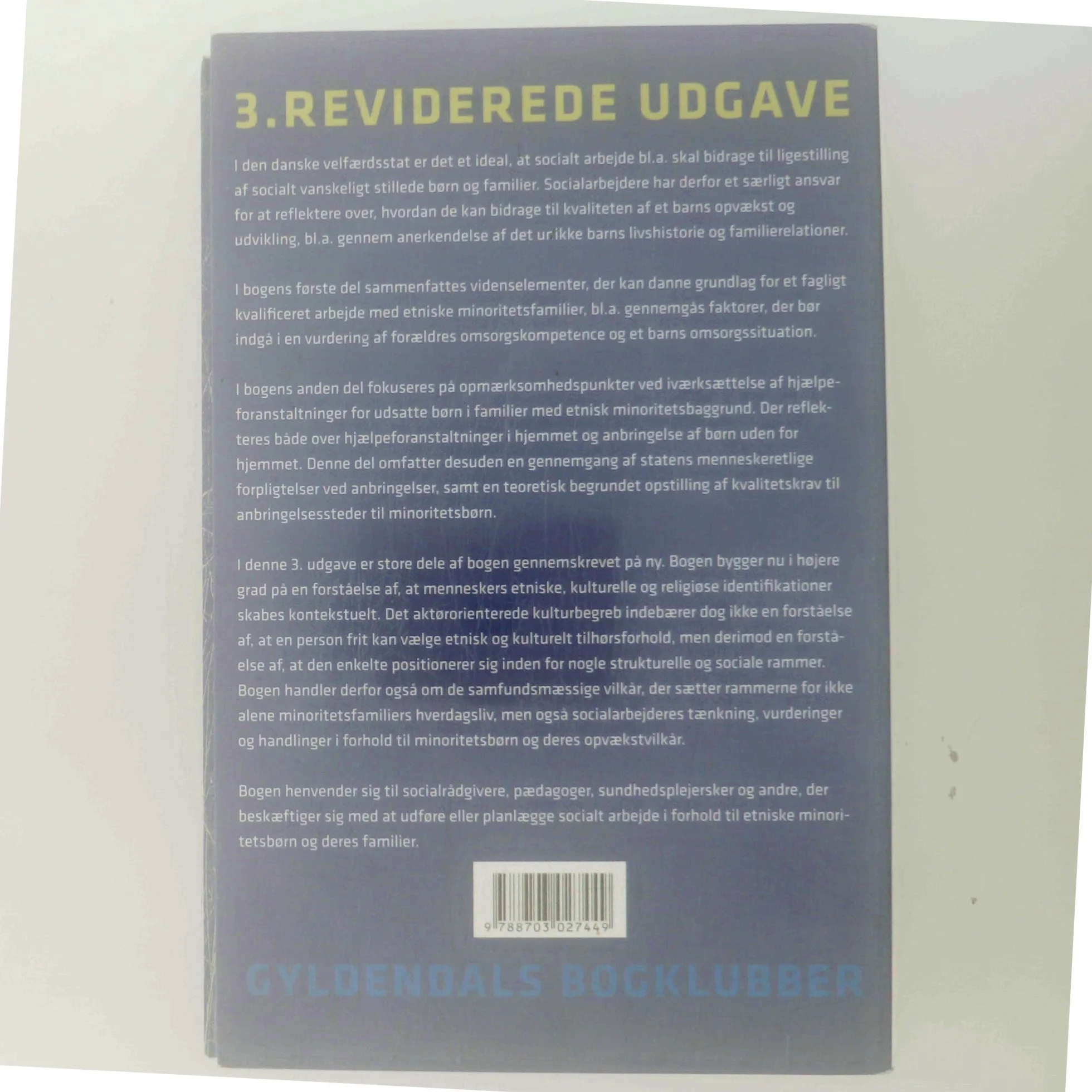 Etniske minoritetsfamilier og socialt arbejde af Marianne Skytte (Bog)