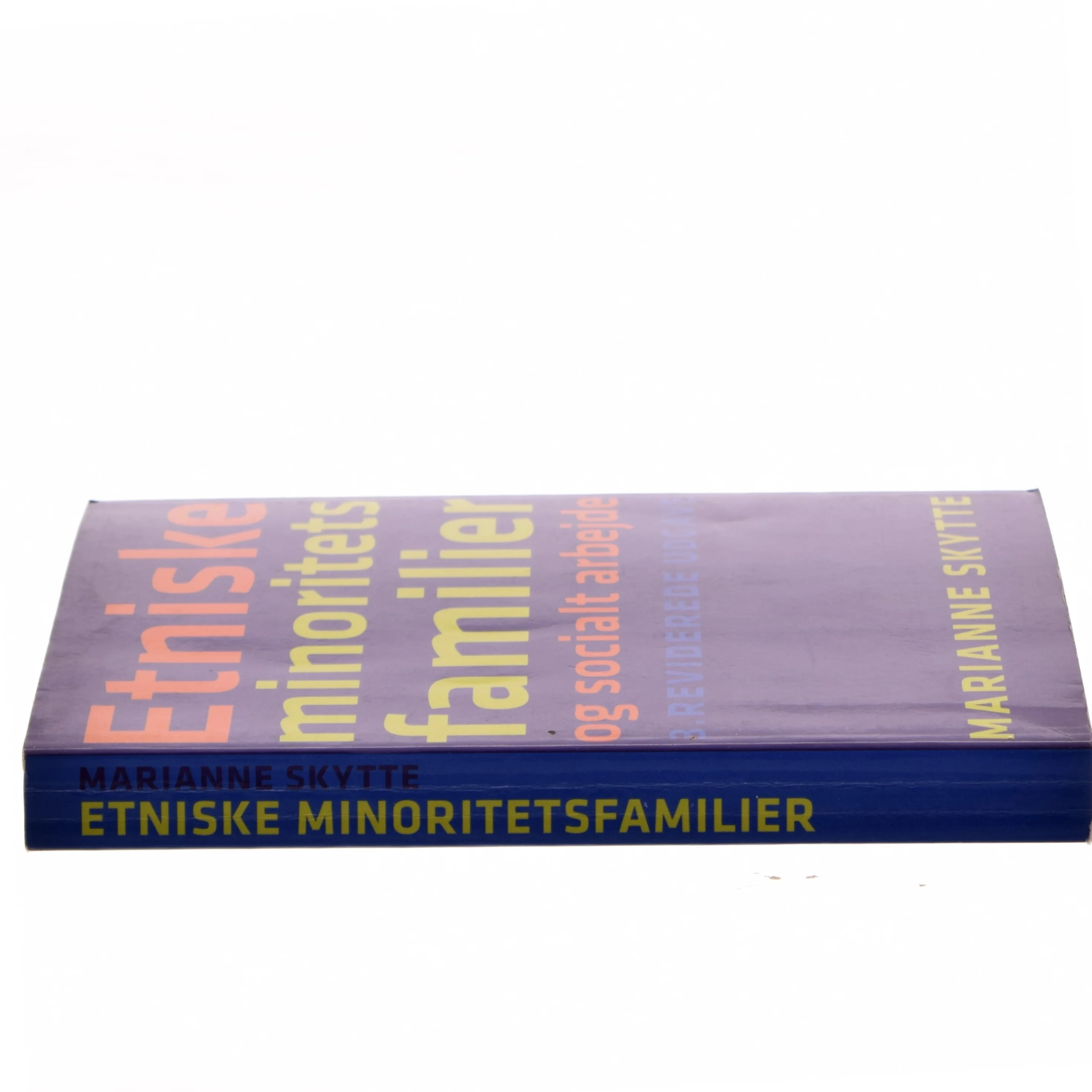 Etniske minoritetsfamilier og socialt arbejde af Marianne Skytte (Bog)