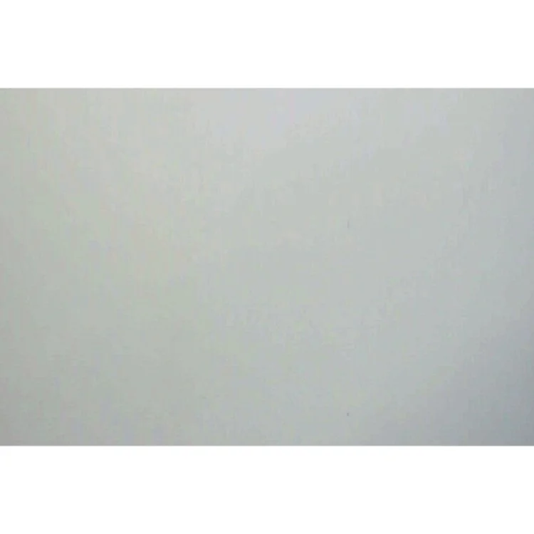 Udenrigskorrespondenten : kriminalroman af Alan Furst (Bog)