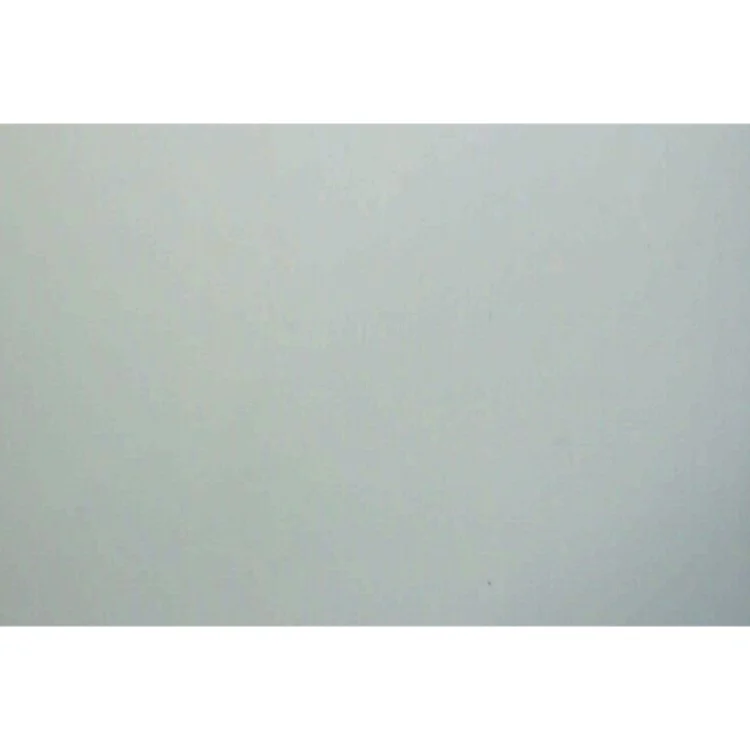 Notre-Dame of Paris af Allan Temko (Bog)