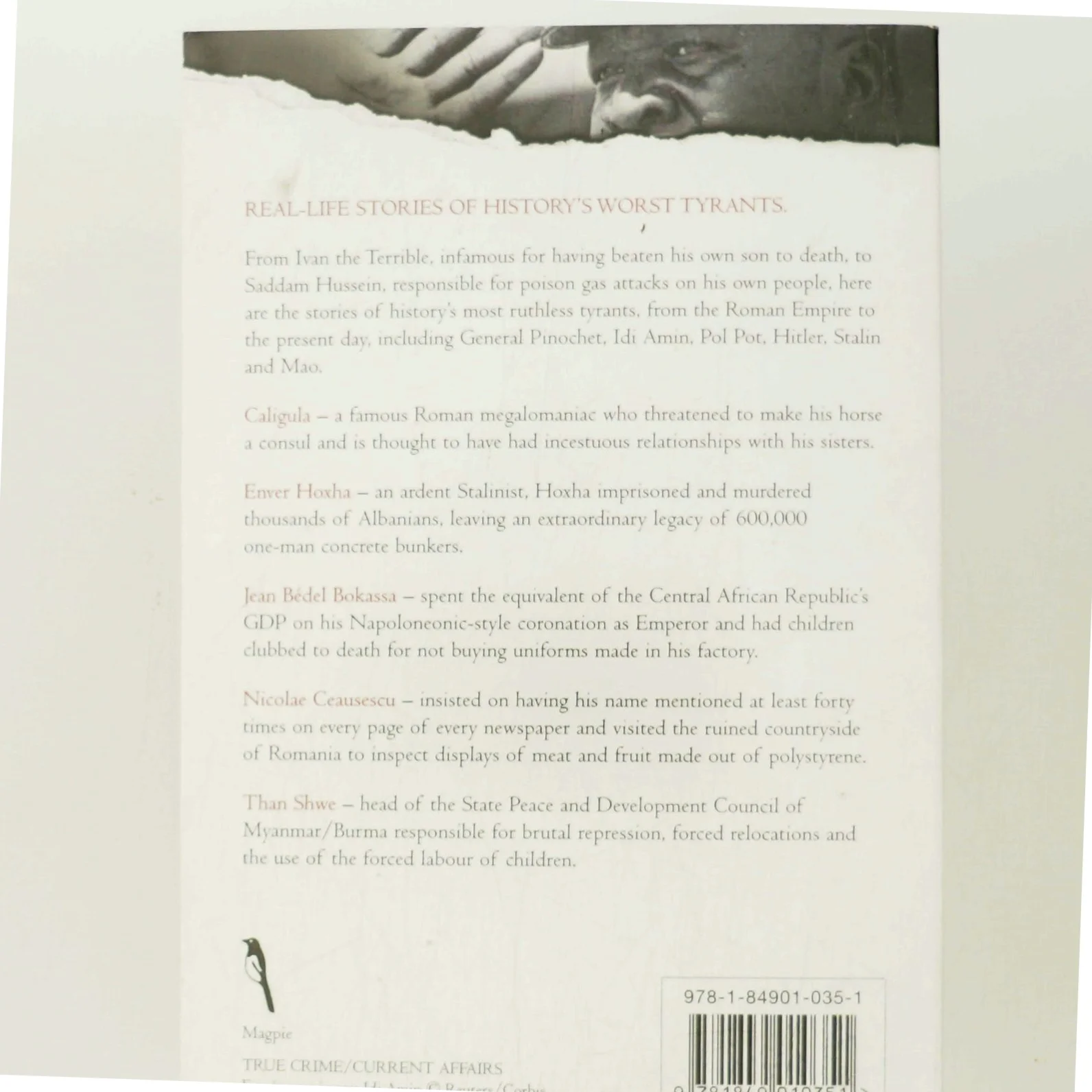 A Secret History of the Great Dictators af Diane Law (Bog)