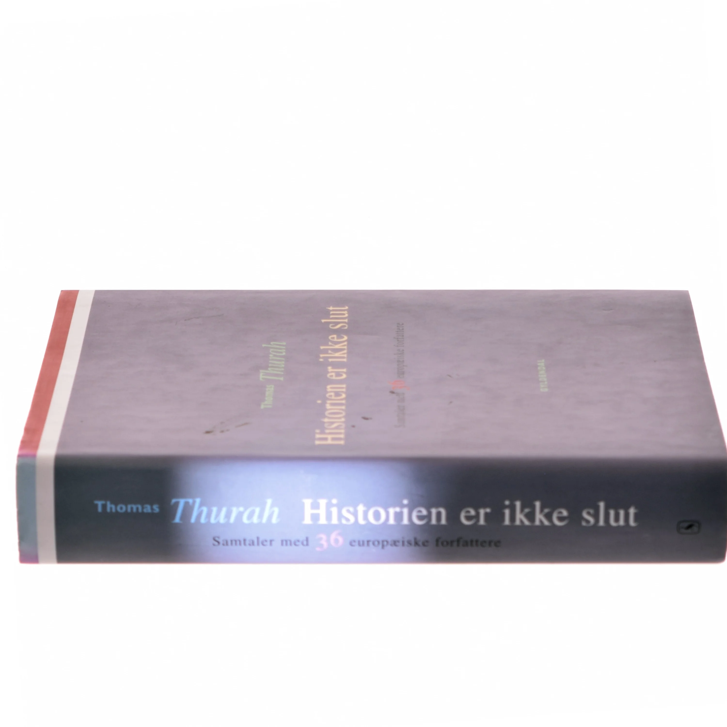 Historien er ikke slut : samtaler med 36 europæiske forfattere af Thomas Thurah (Bog)