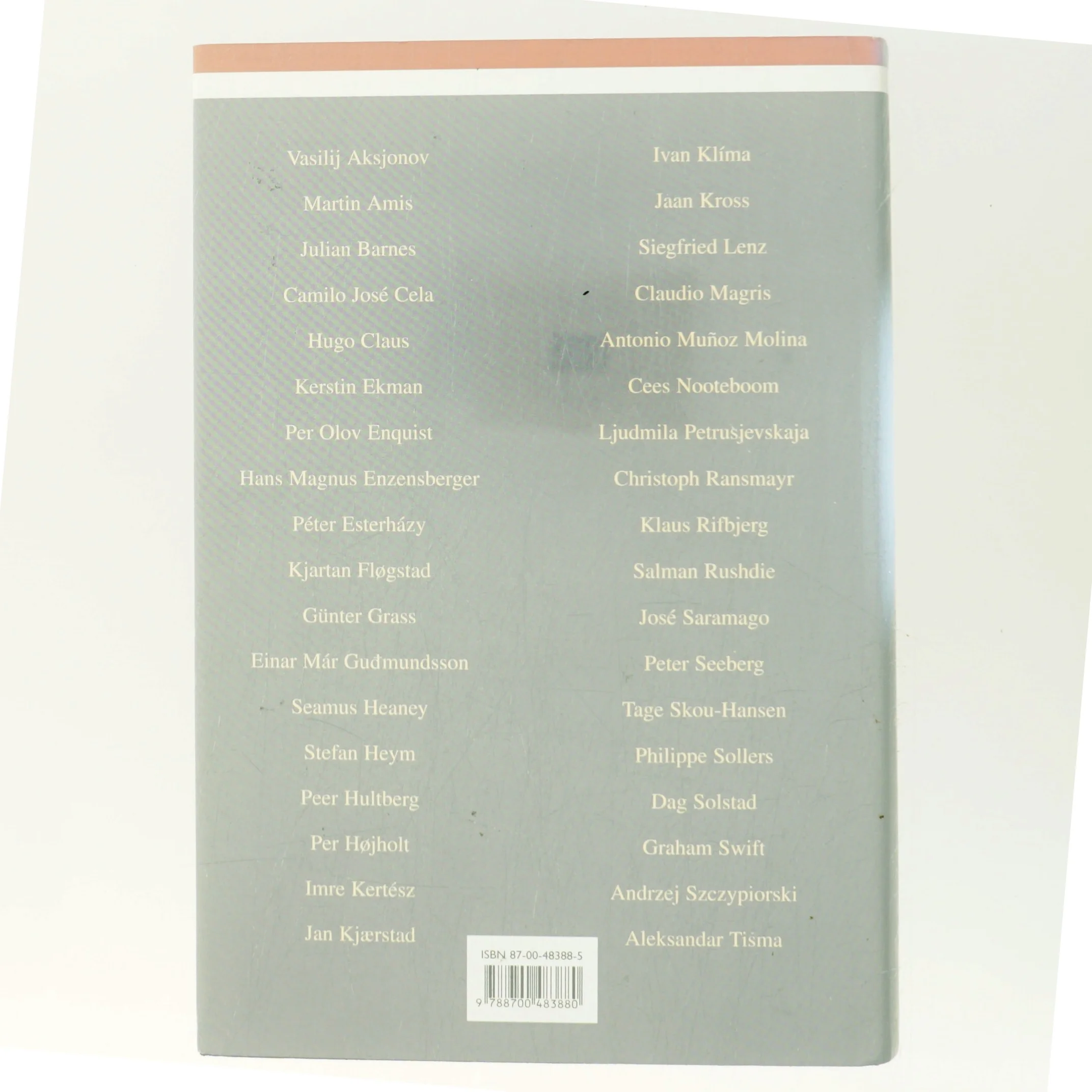 Historien er ikke slut : samtaler med 36 europæiske forfattere af Thomas Thurah (Bog)