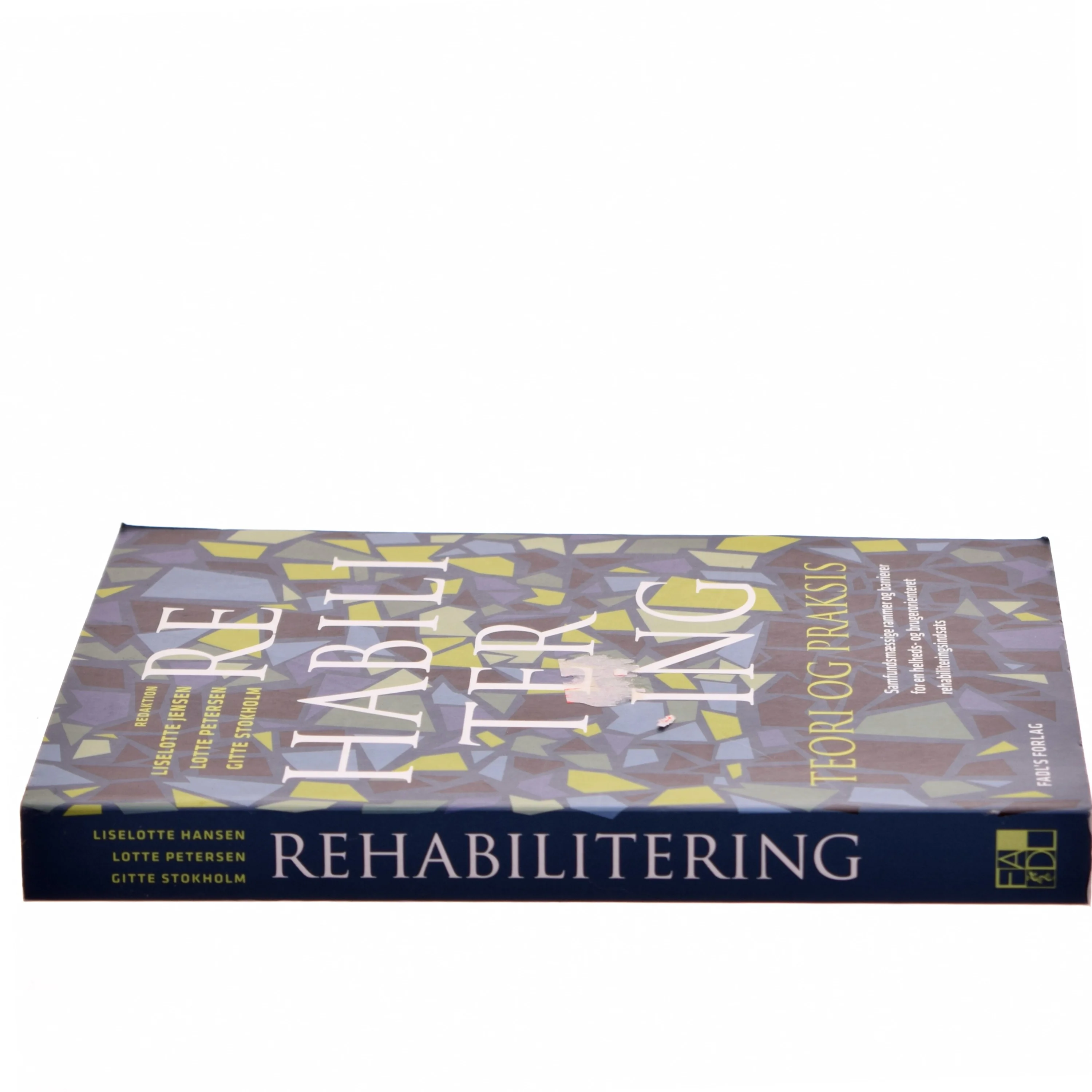 Rehabilitering : teori & praksis (Bog)