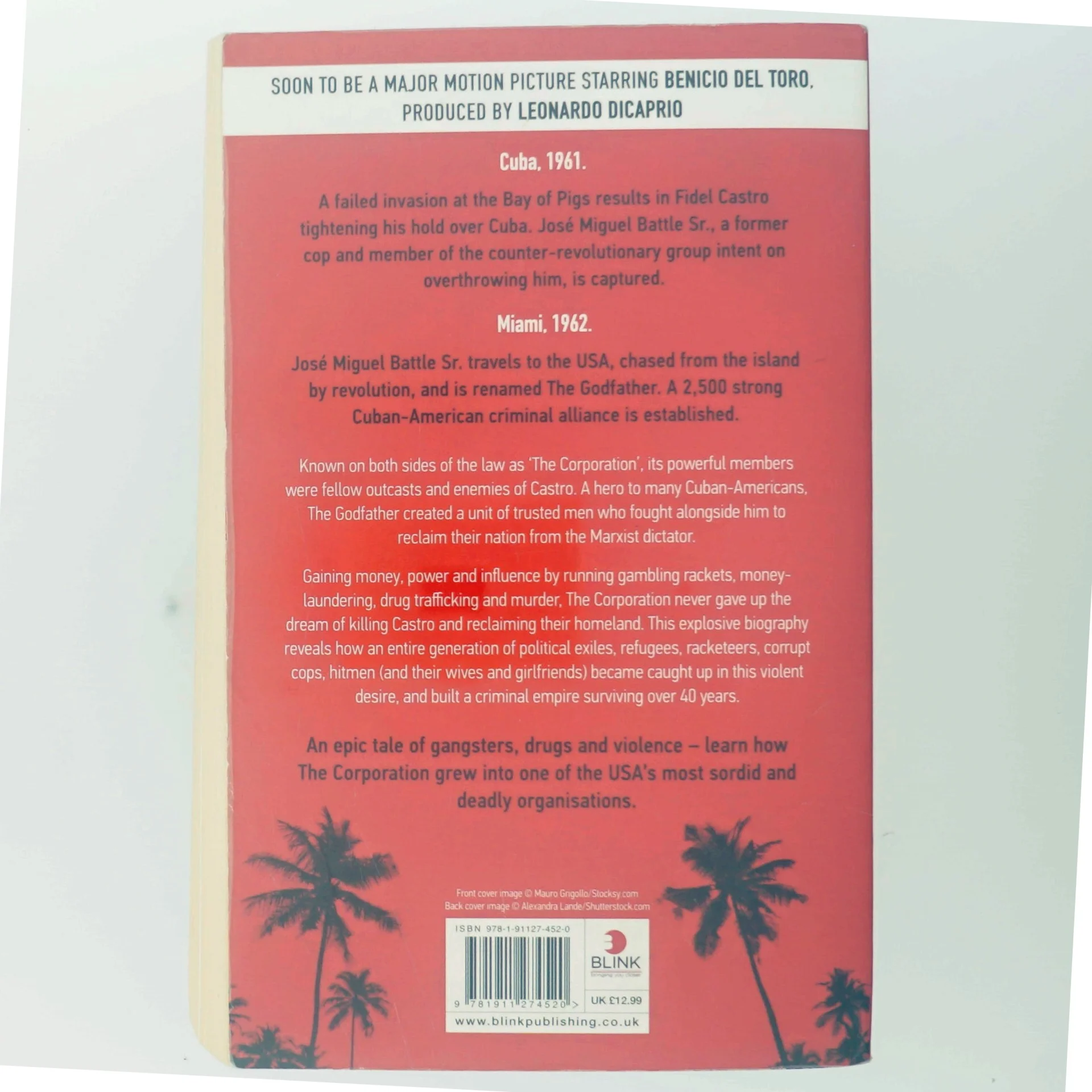 The Corporation af T. J. English (Bog)