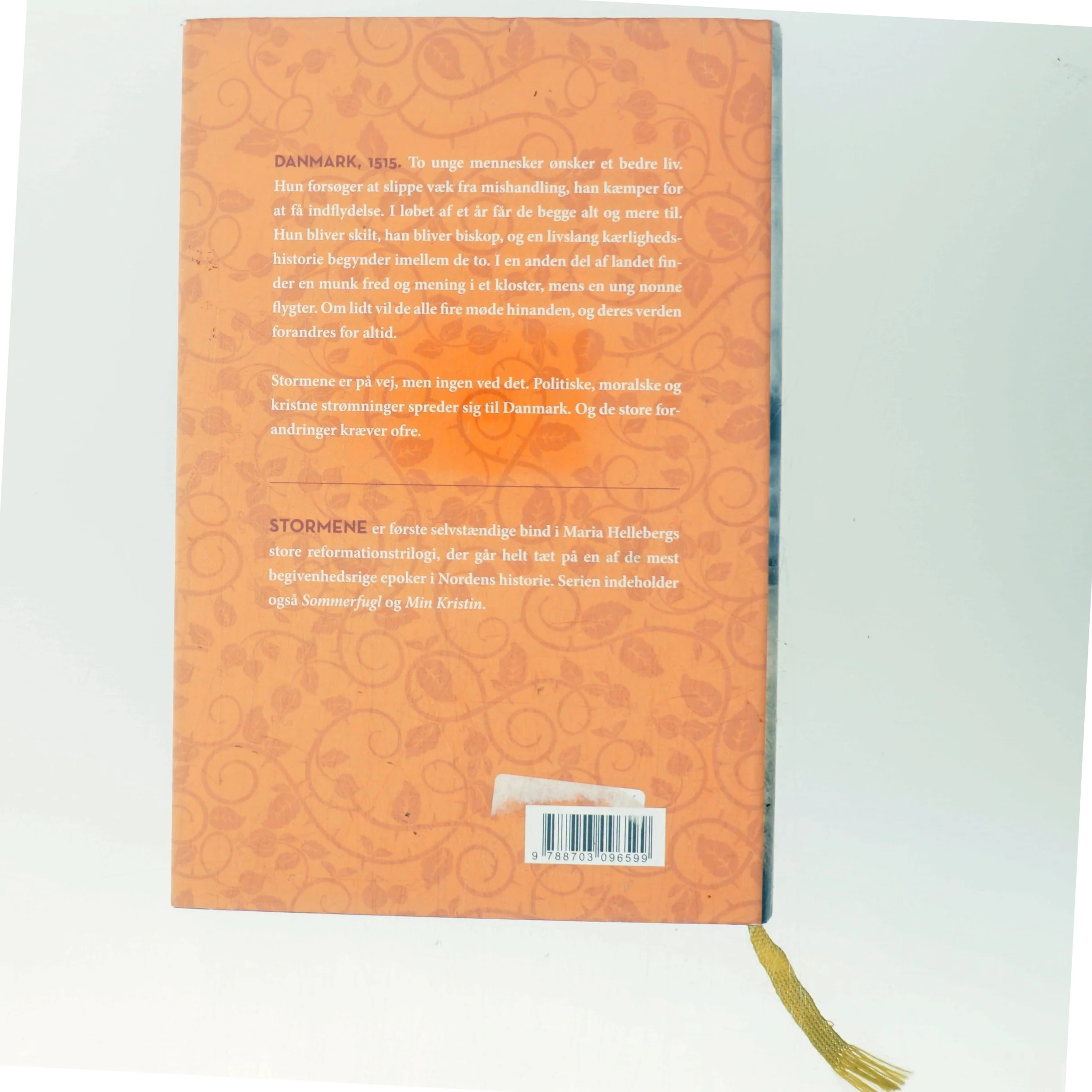 Stormene af Maria Helleberg (Bog)