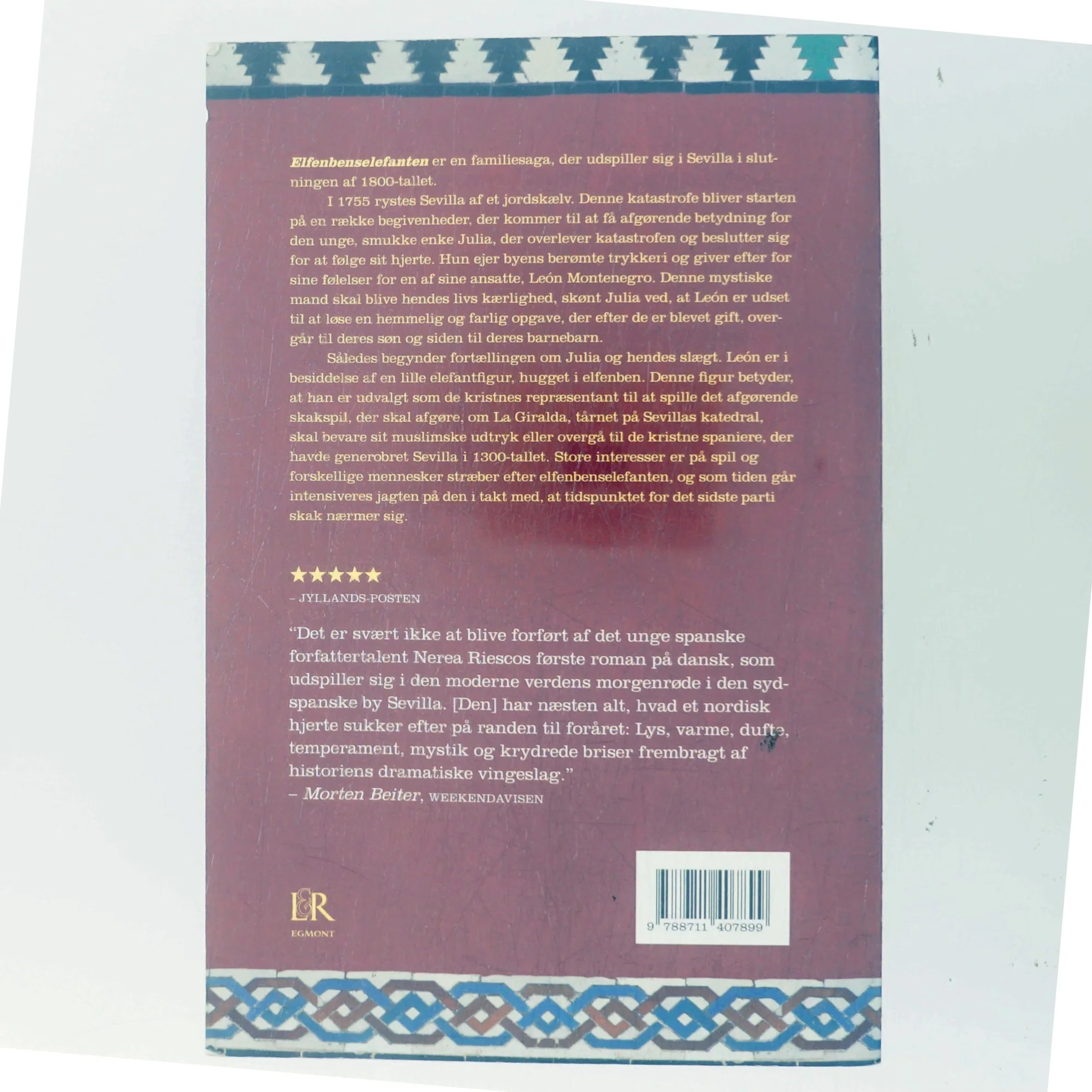 Elfenbenselefanten af Nerea Riesco (Bog)