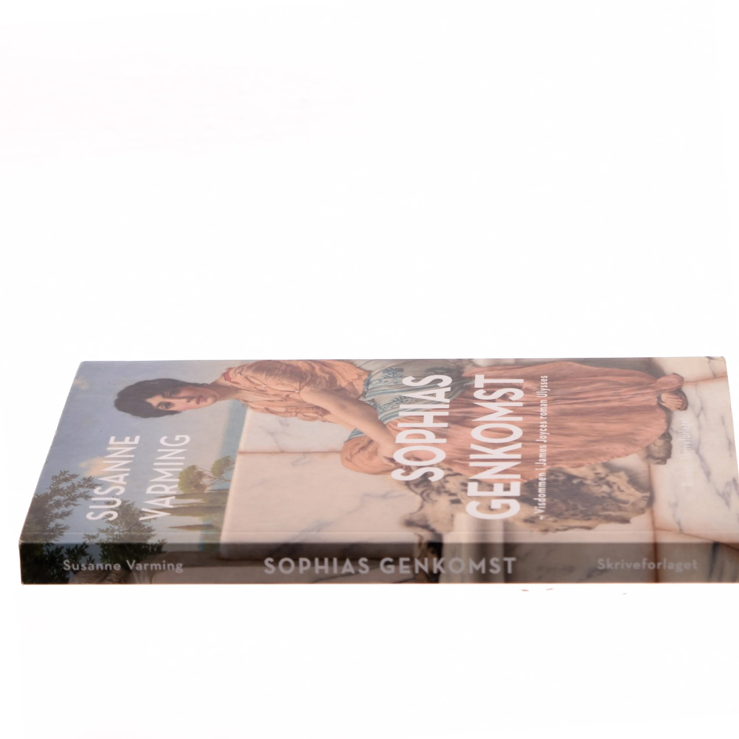 Sophias genkomst : visdommen i James Joyces roman Ulysses af Susanne Varming (Bog)