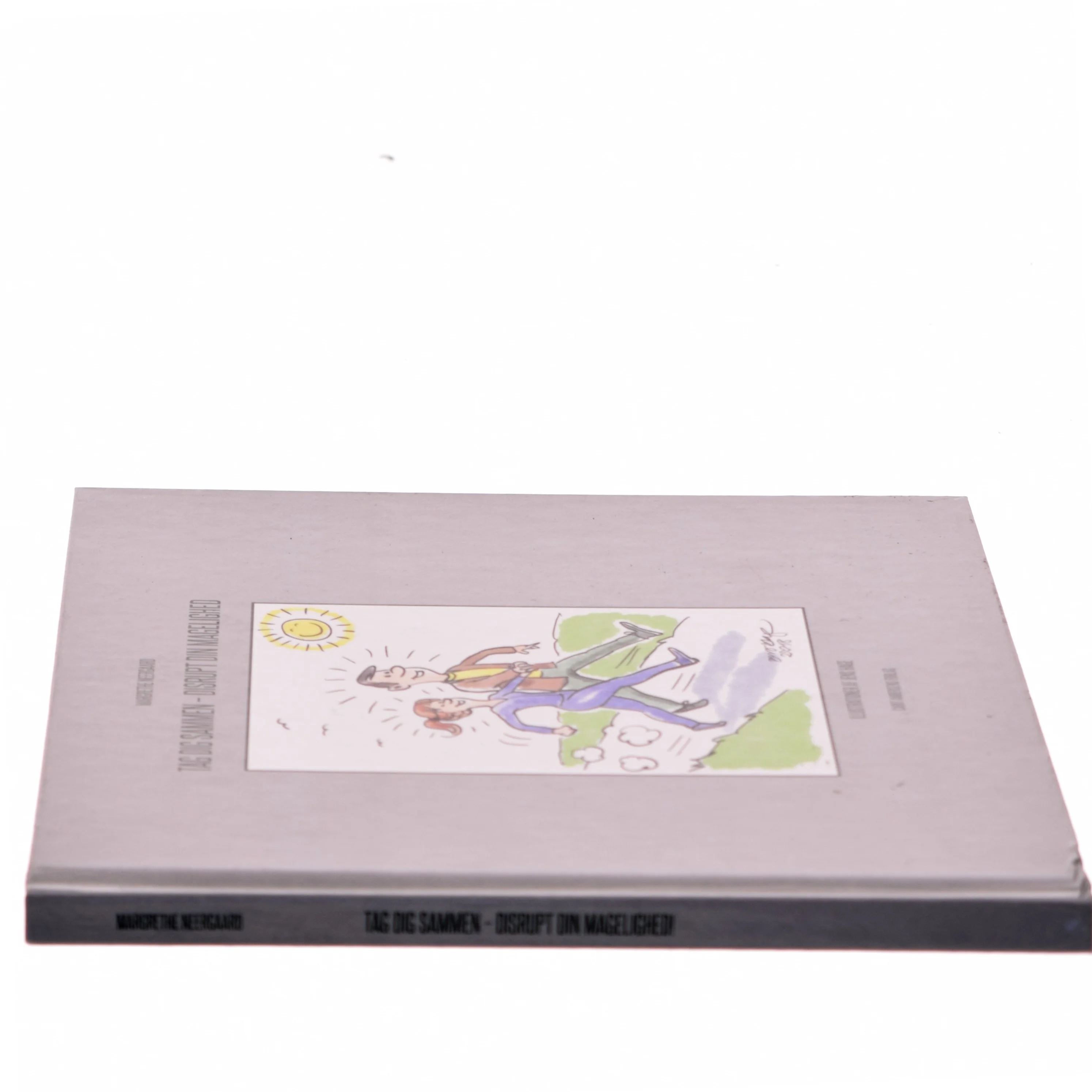 Tag dig sammen - disrupt din magelighed af Margrethe Neergaard (Bog)