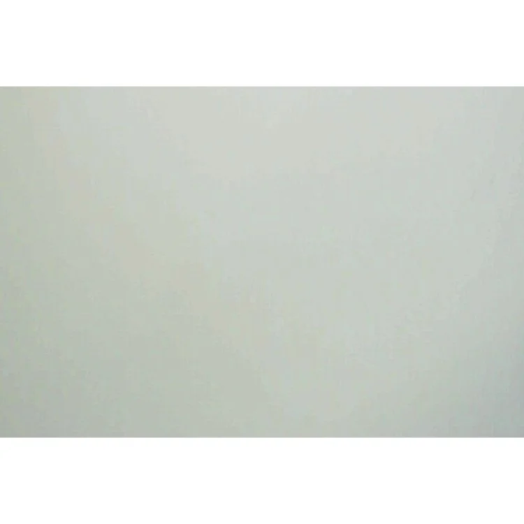 The vampire diaries. #2, Kampen af L. J. Smith (Bog)