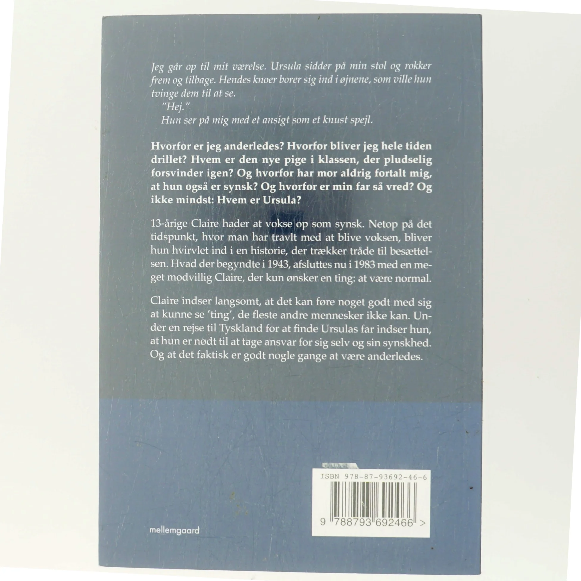 Det var den nat - af Rikke Barfod (Bog)