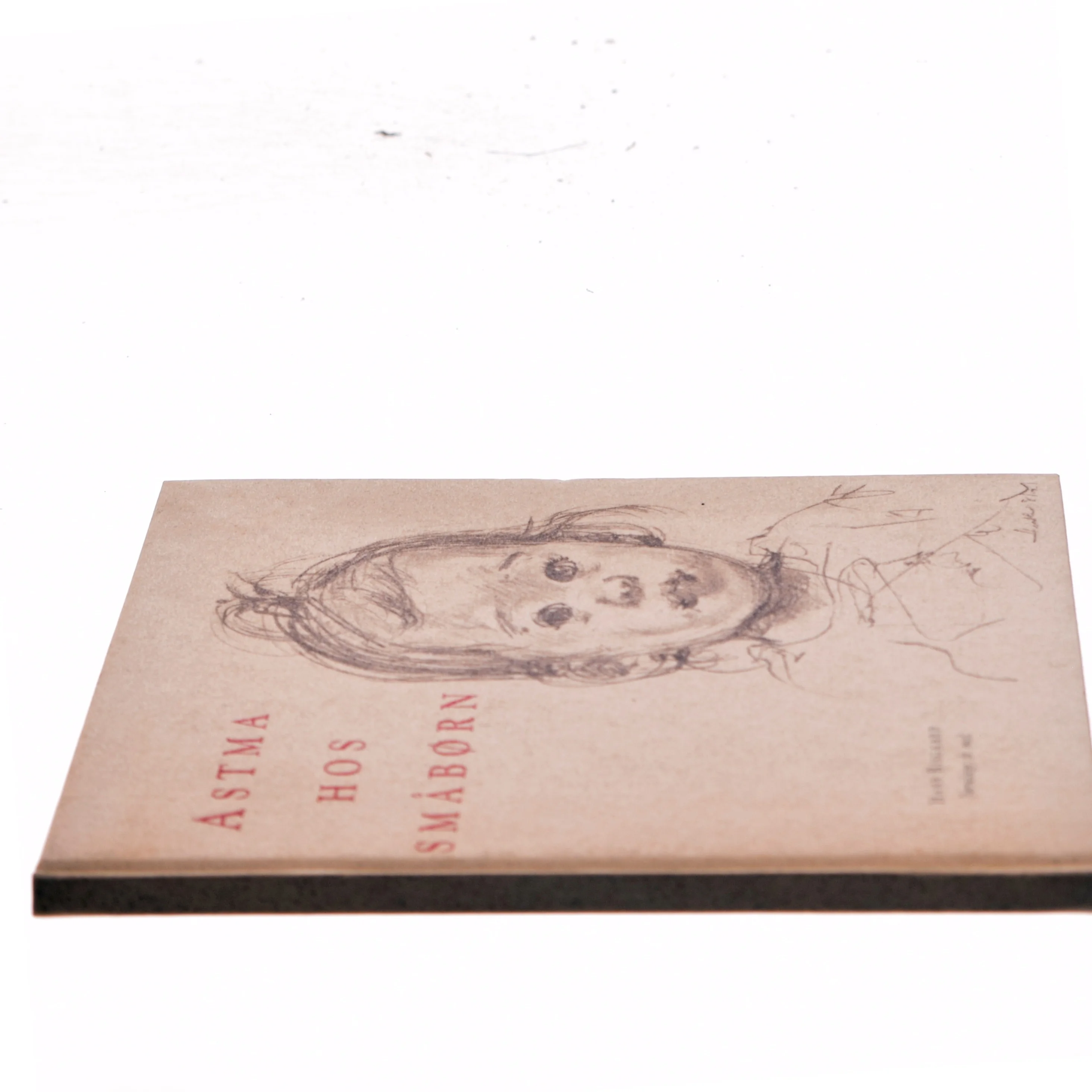 Astma hos småbørn af Hans Bisgaard (Bog)