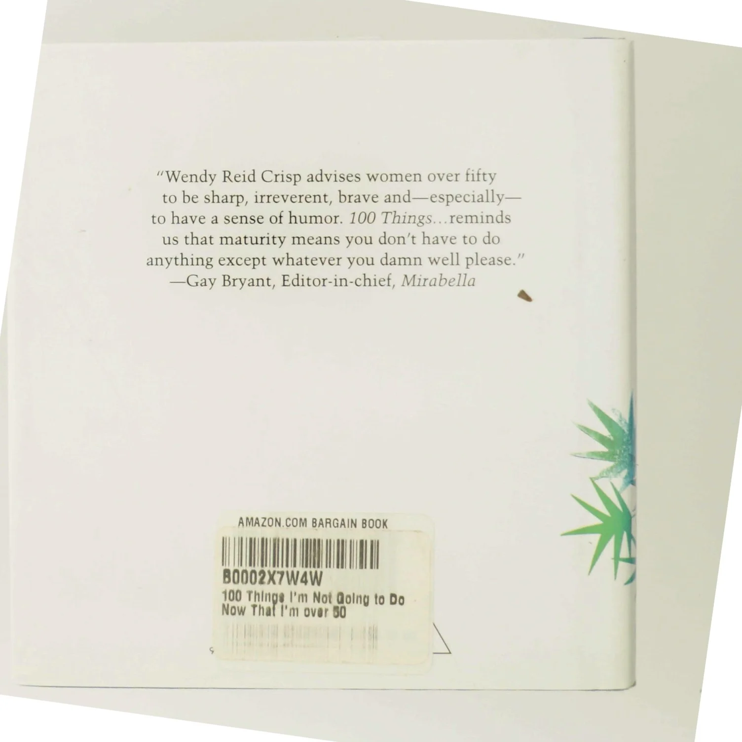 100 Things I'm Not Going to Do Now That I'm Over 50 bog