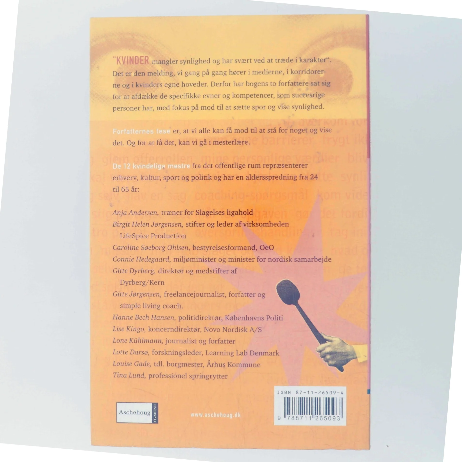 Mod til synlighed : 12 rollemodeller viser vejen (Bog)