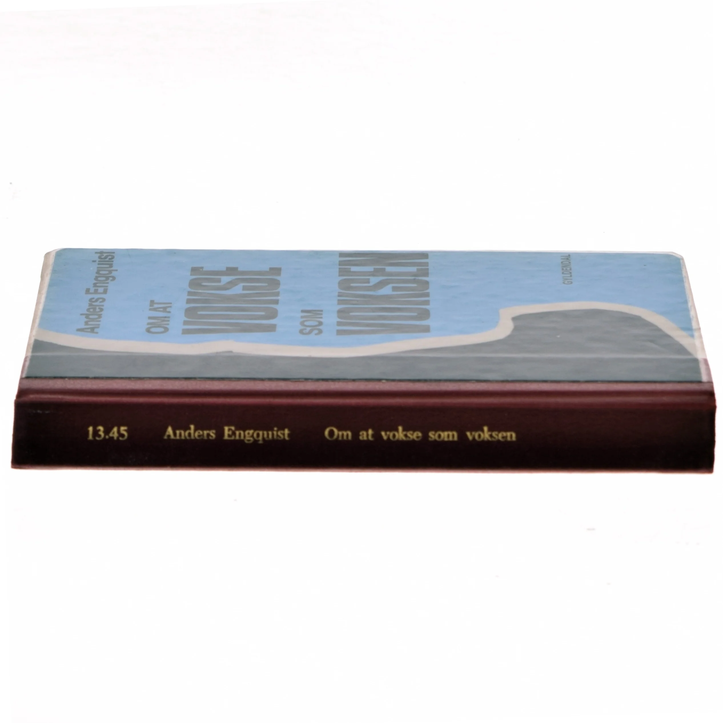 Om at vokse som voksen af Anders Engquist (Bog)