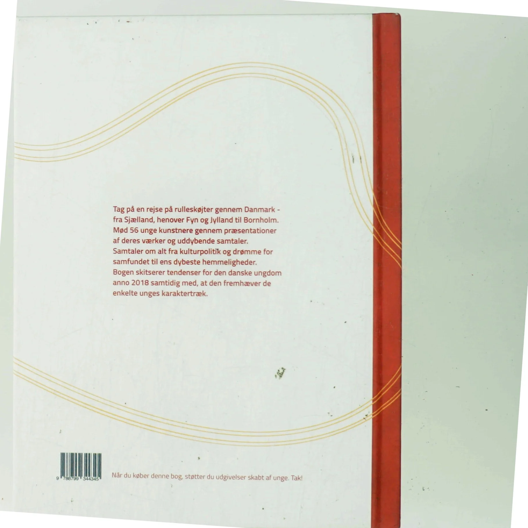 De unge skaber af Elizabeth Schultz-Lorentzen Holstein (Bog)