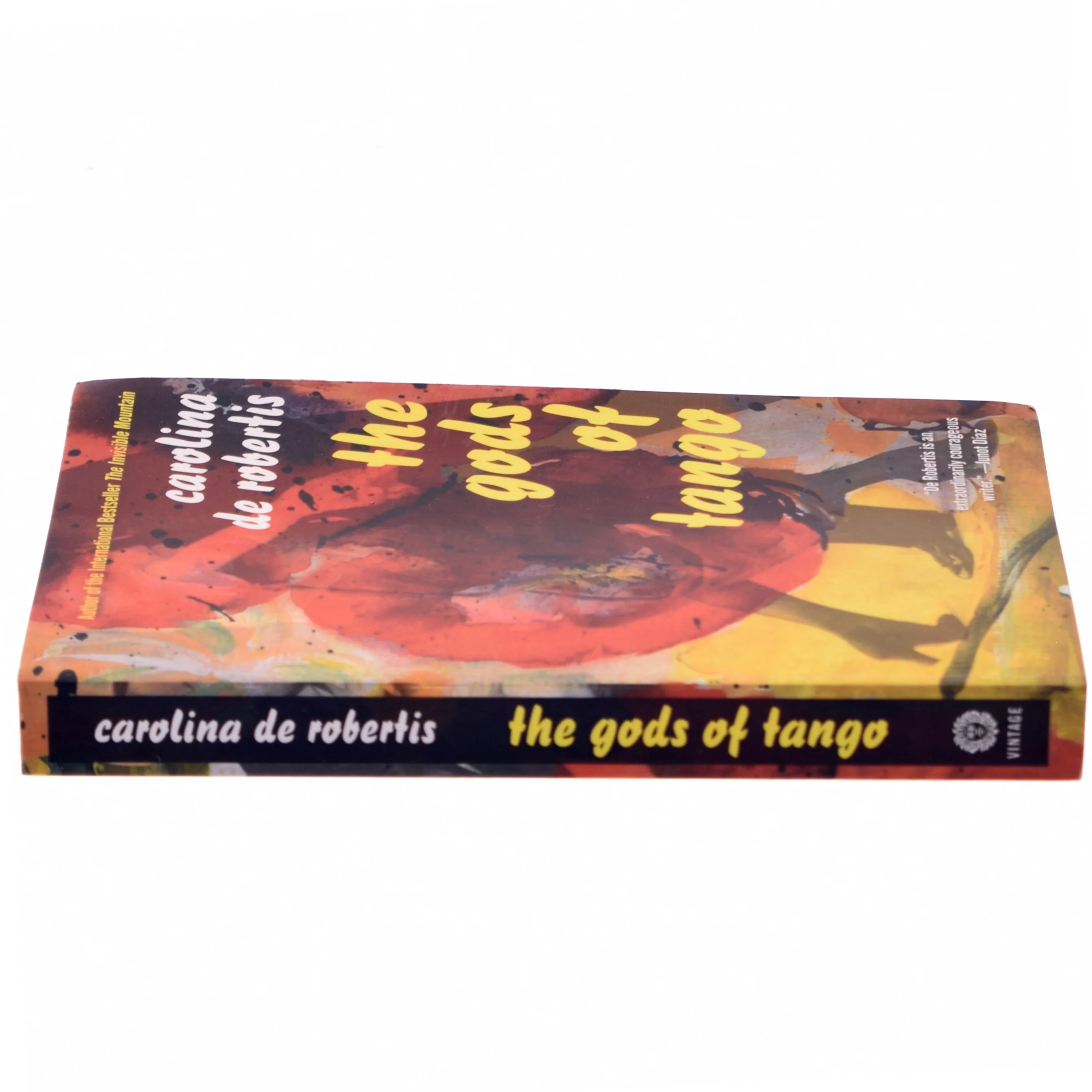 The Gods of Tango af Carolina De Robertis (Bog)