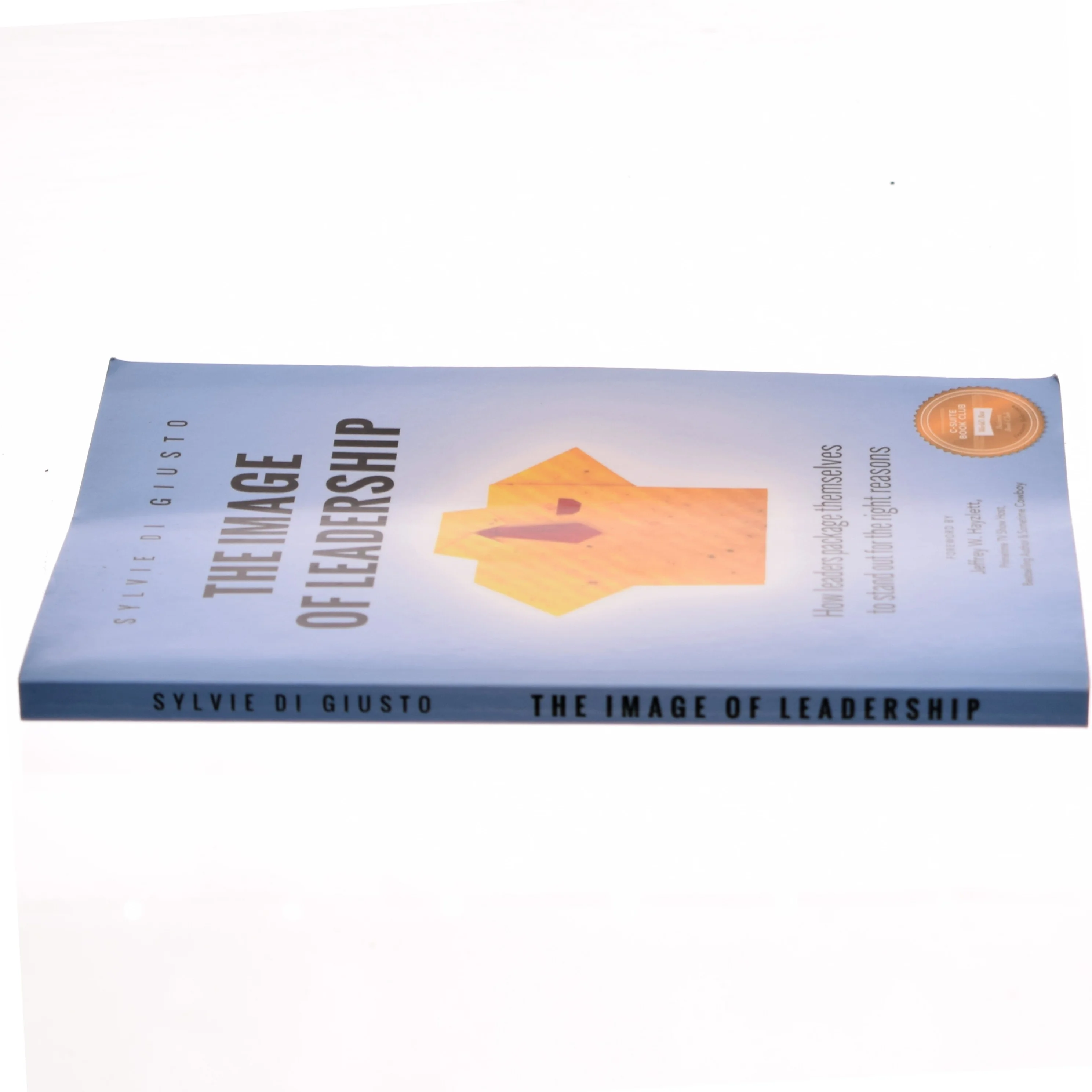 The Image of Leadership af Sylvie Di Giusto (Bog)