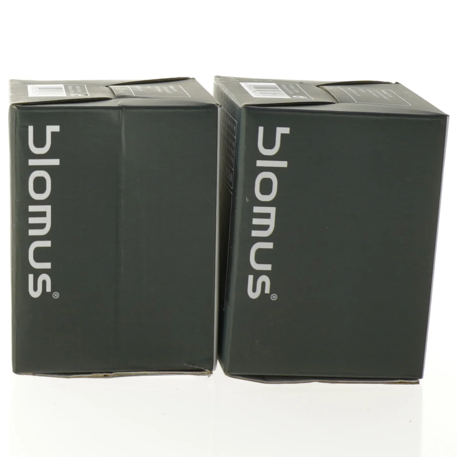 Udskiftelige Toilet børste hoveder fra Blomus (str. 10 x 8 cm)