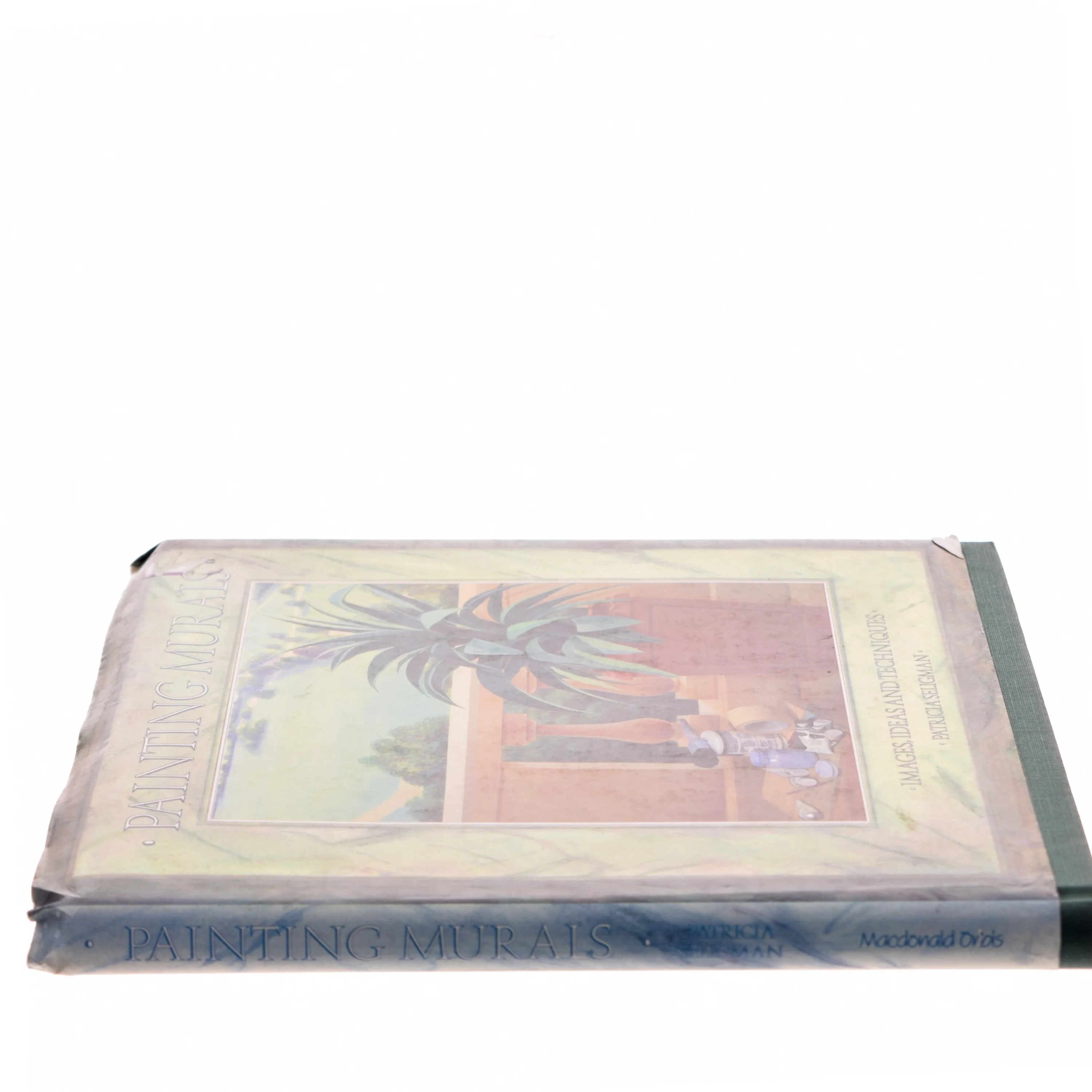 Painting murals : images, ideas and techniques af Patricia Seligman (Bog)