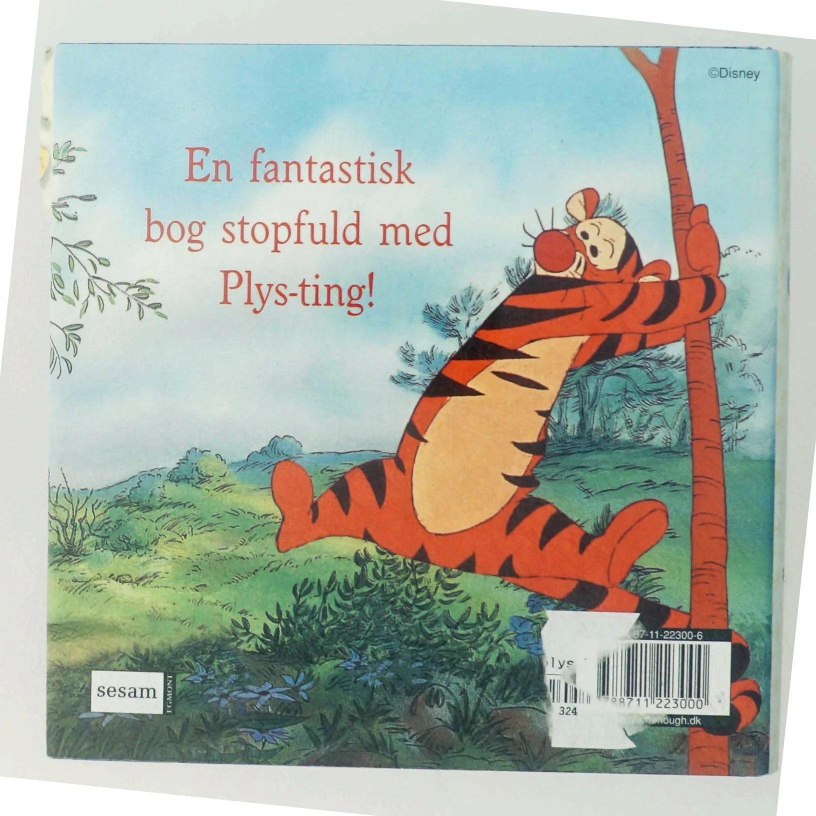 Den lille store bog om Plys af Monique Peterson (Bog)