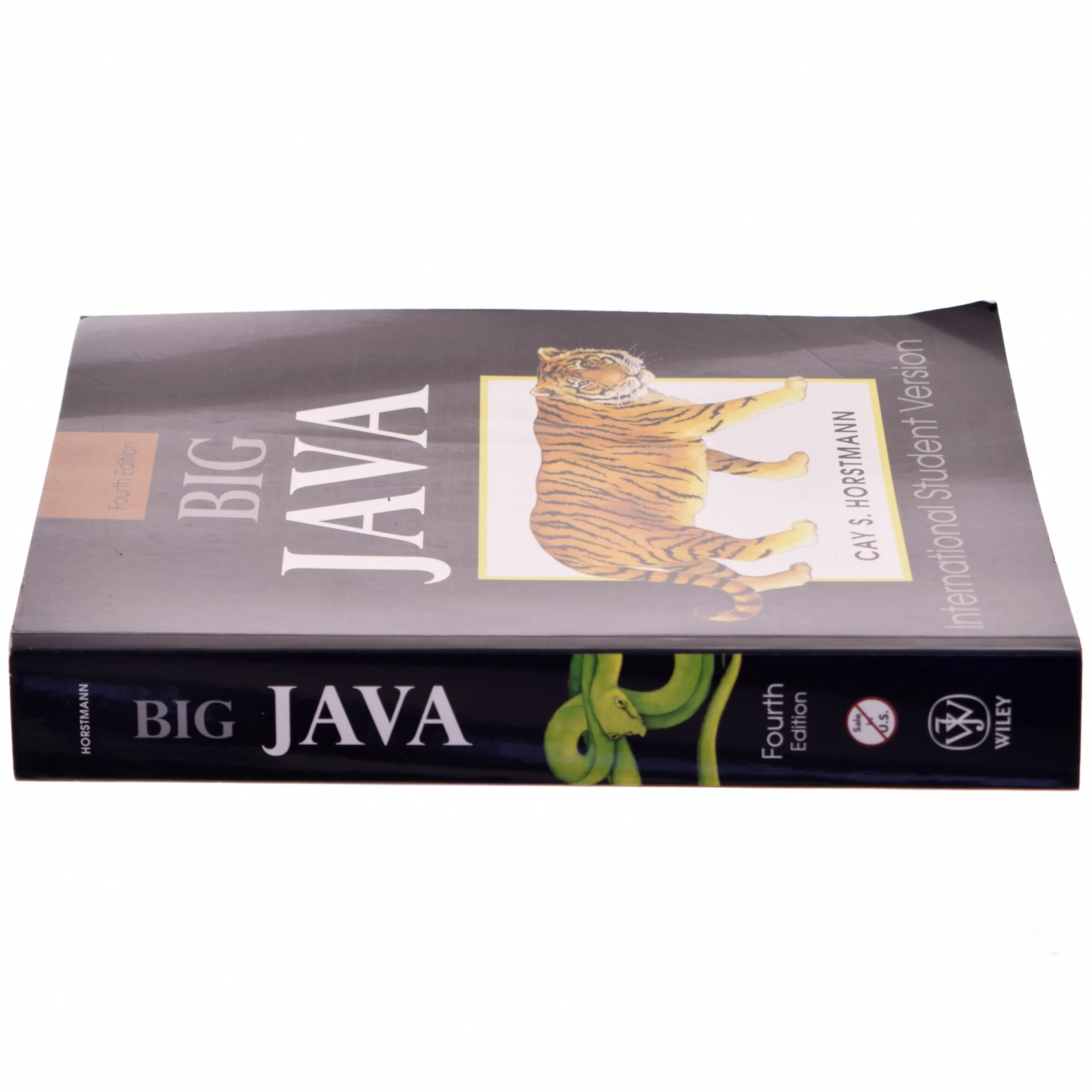 Big Java af Cay Horstmann (1959-) (Bog)