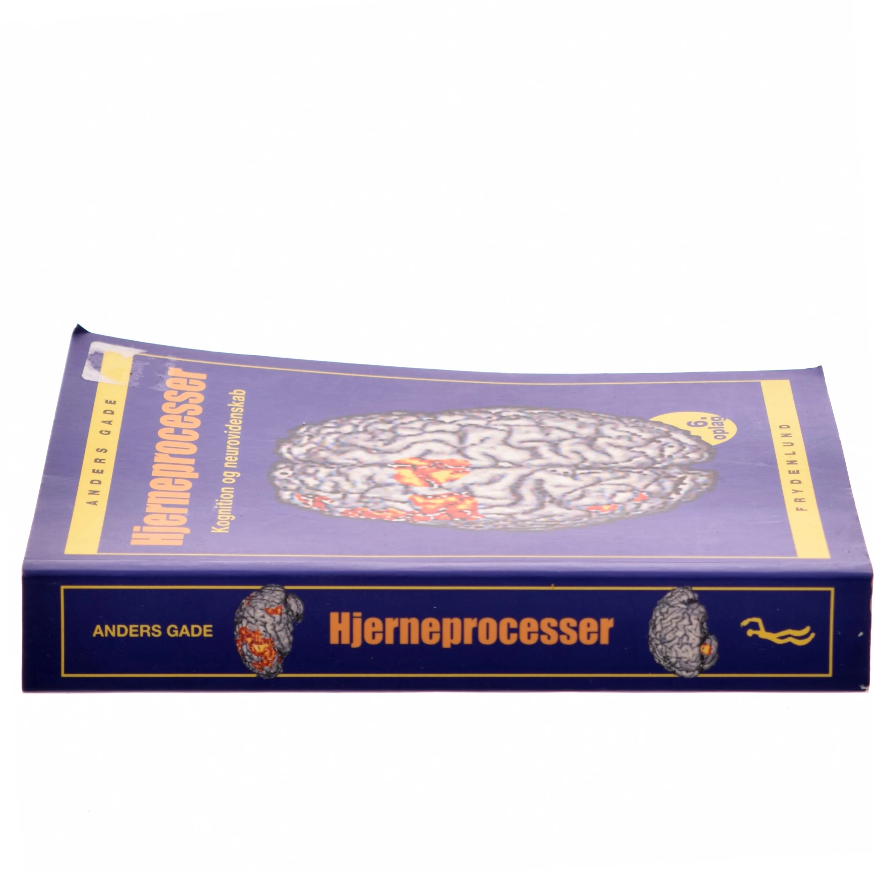 Hjerneprocesser : kognition og neurovidenskab af Anders Gade (Bog)