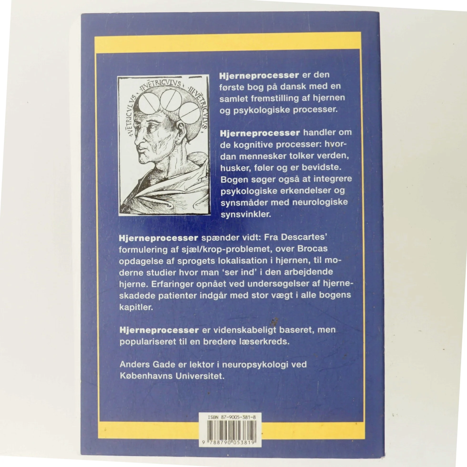 Hjerneprocesser : kognition og neurovidenskab af Anders Gade (Bog)