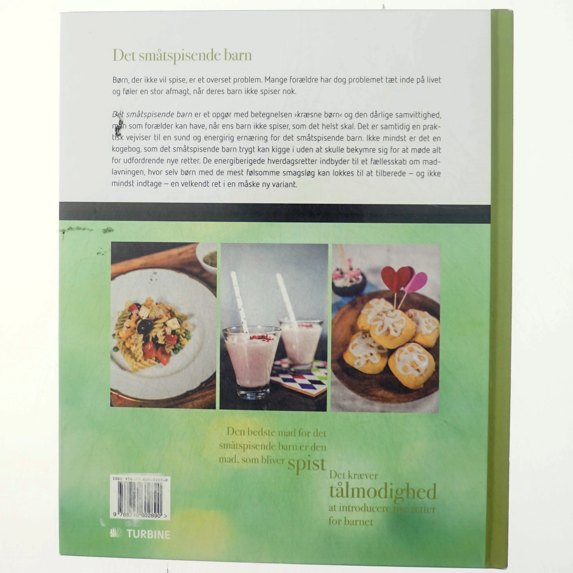 Det småtspisende barn : en praktisk guide til småtspisende børns kostbehov af Anita Albers (Bog)