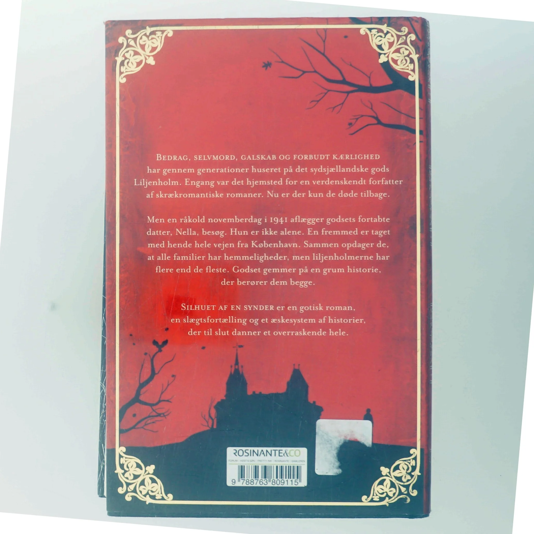 Silhuet af en synder : roman af Leonora Christina Skov (Bog)