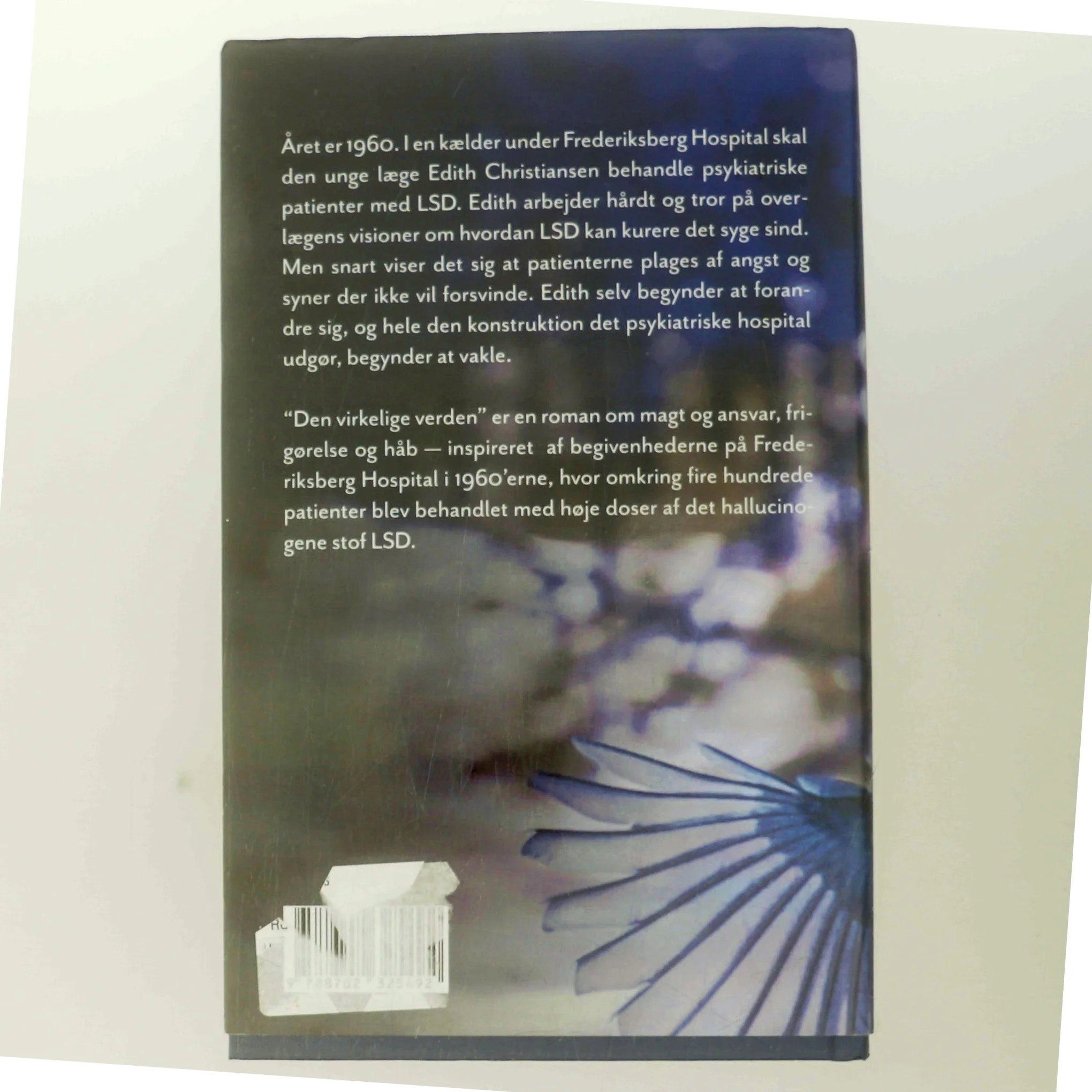 Den virkelige verden af Malene Ravn (Bog)