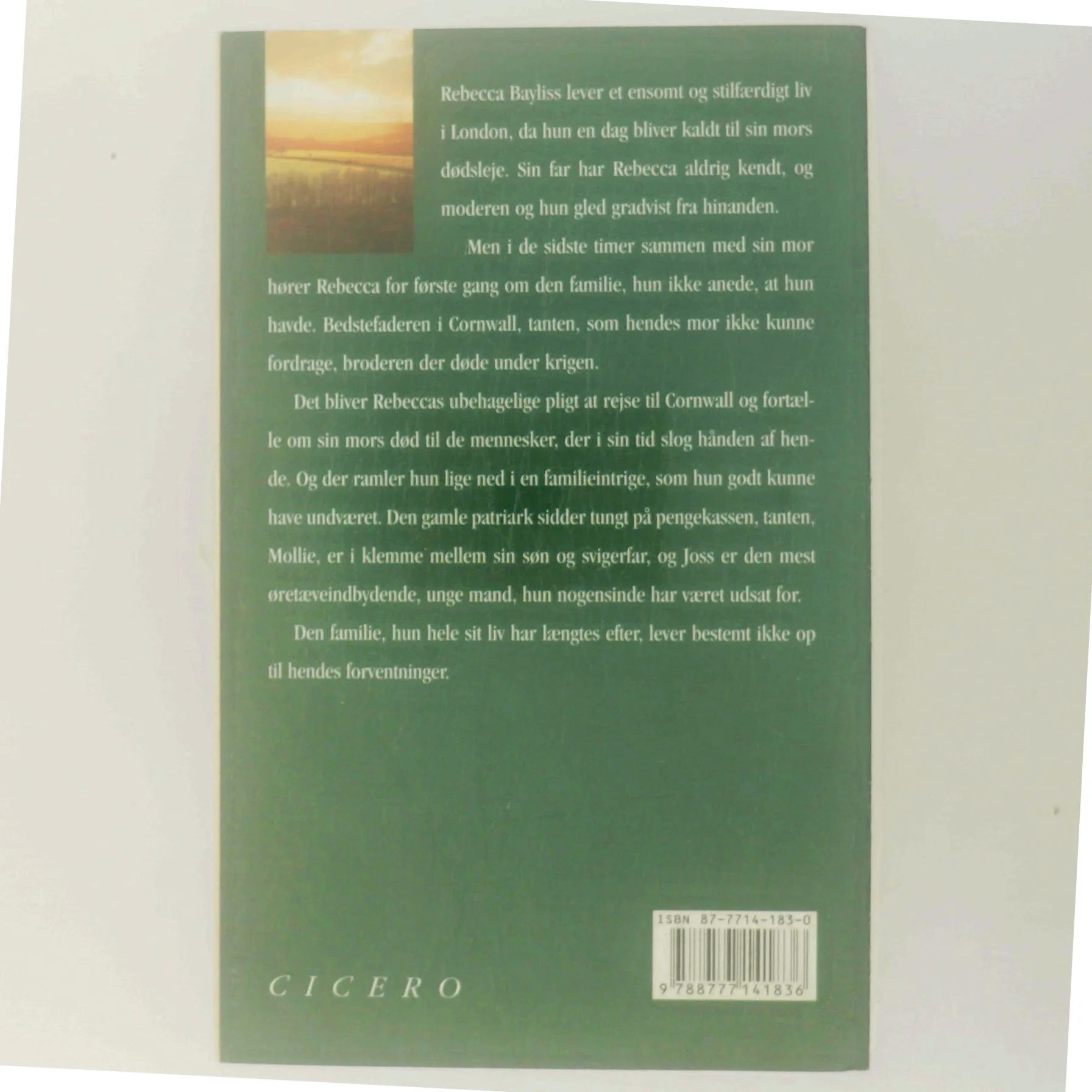 Før stormen af Rosamunde Pilcher (Bog)