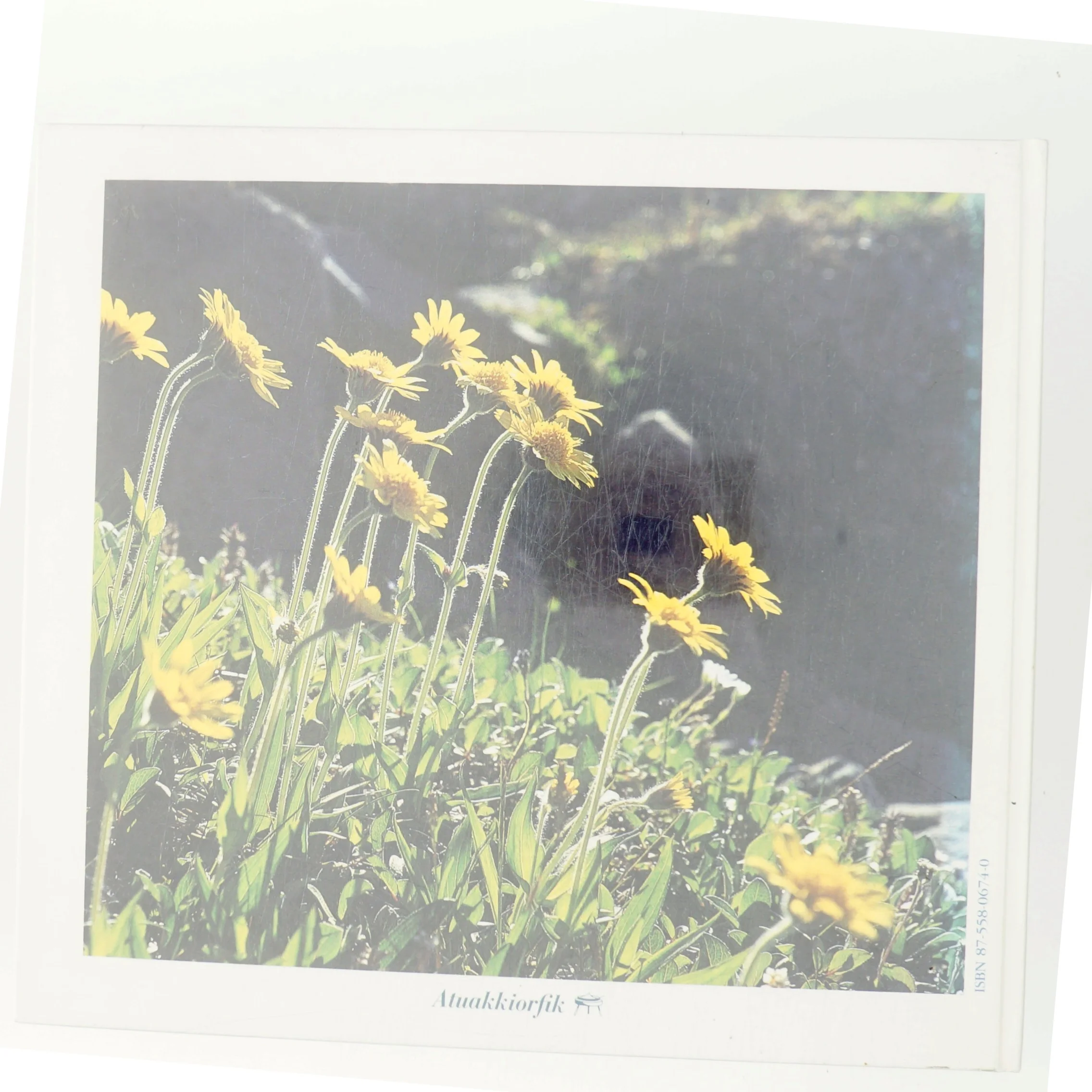 Naturbevaring i Grønland (Bog)