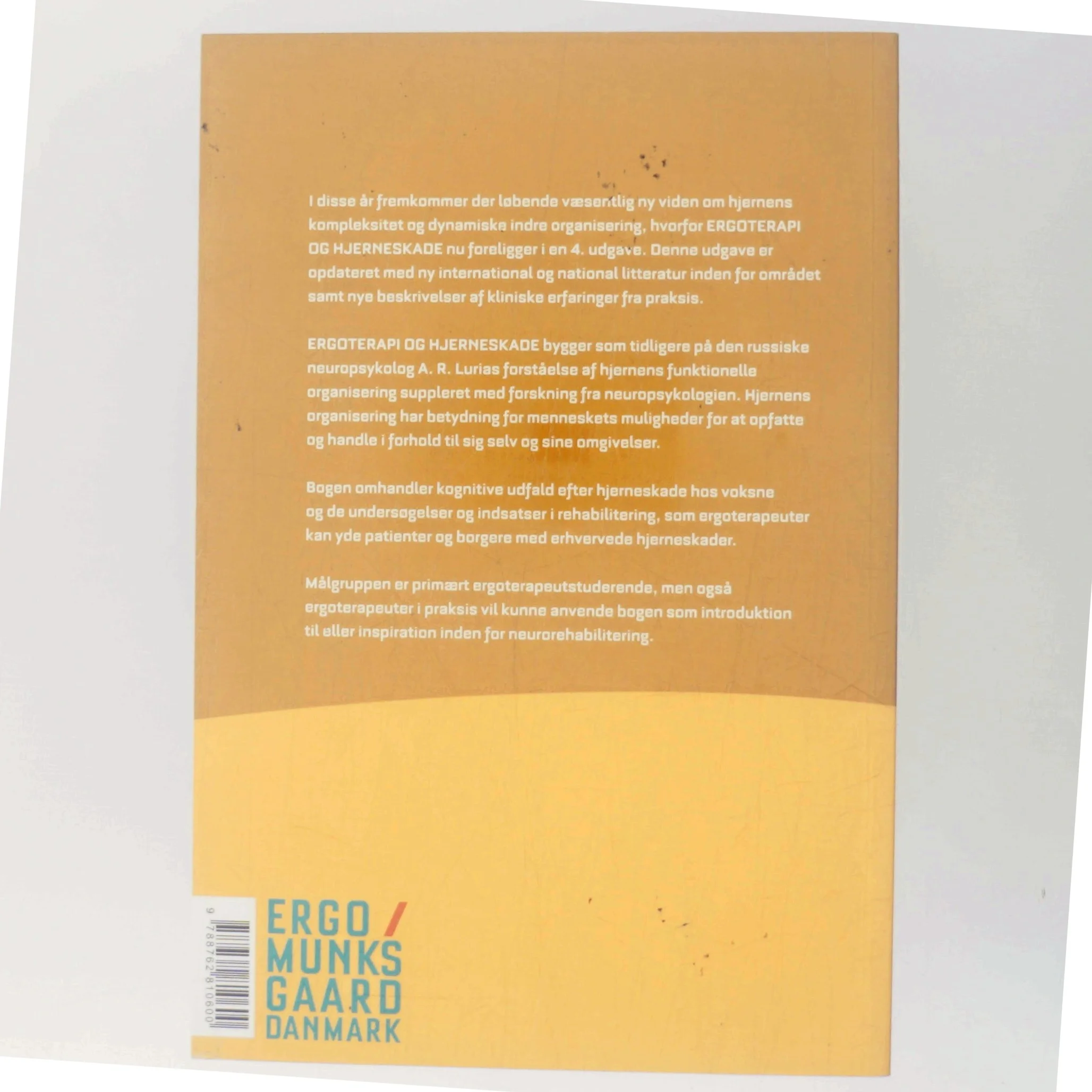 Ergoterapi og hjerneskade : aktivitetsbaseret ergoterapi til patienter med kognitive udfald af Hanne Kaae Kristensen (Bog)