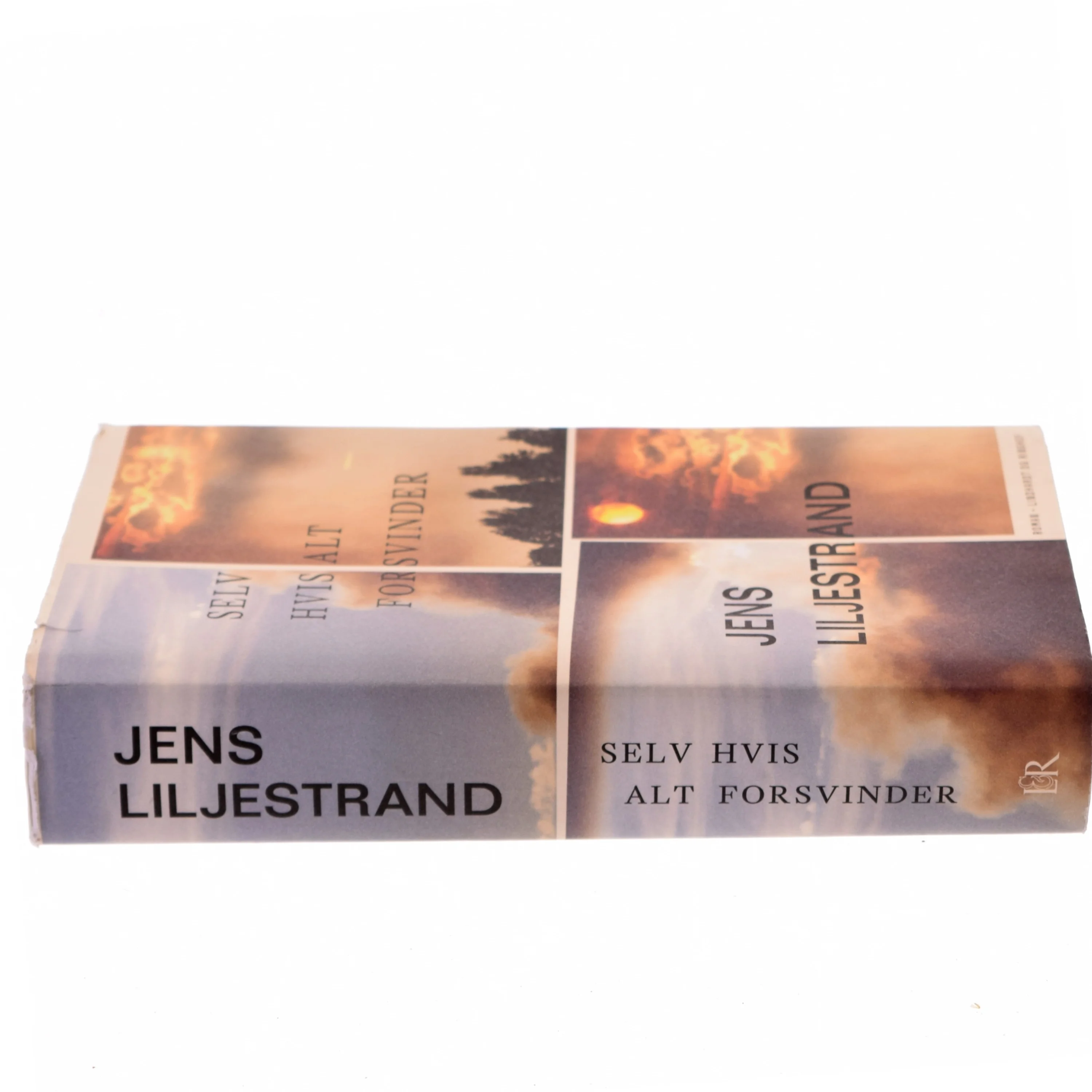 Selv hvis alt forsvinder af Jens Liljestrand (f. 1974) (Bog)