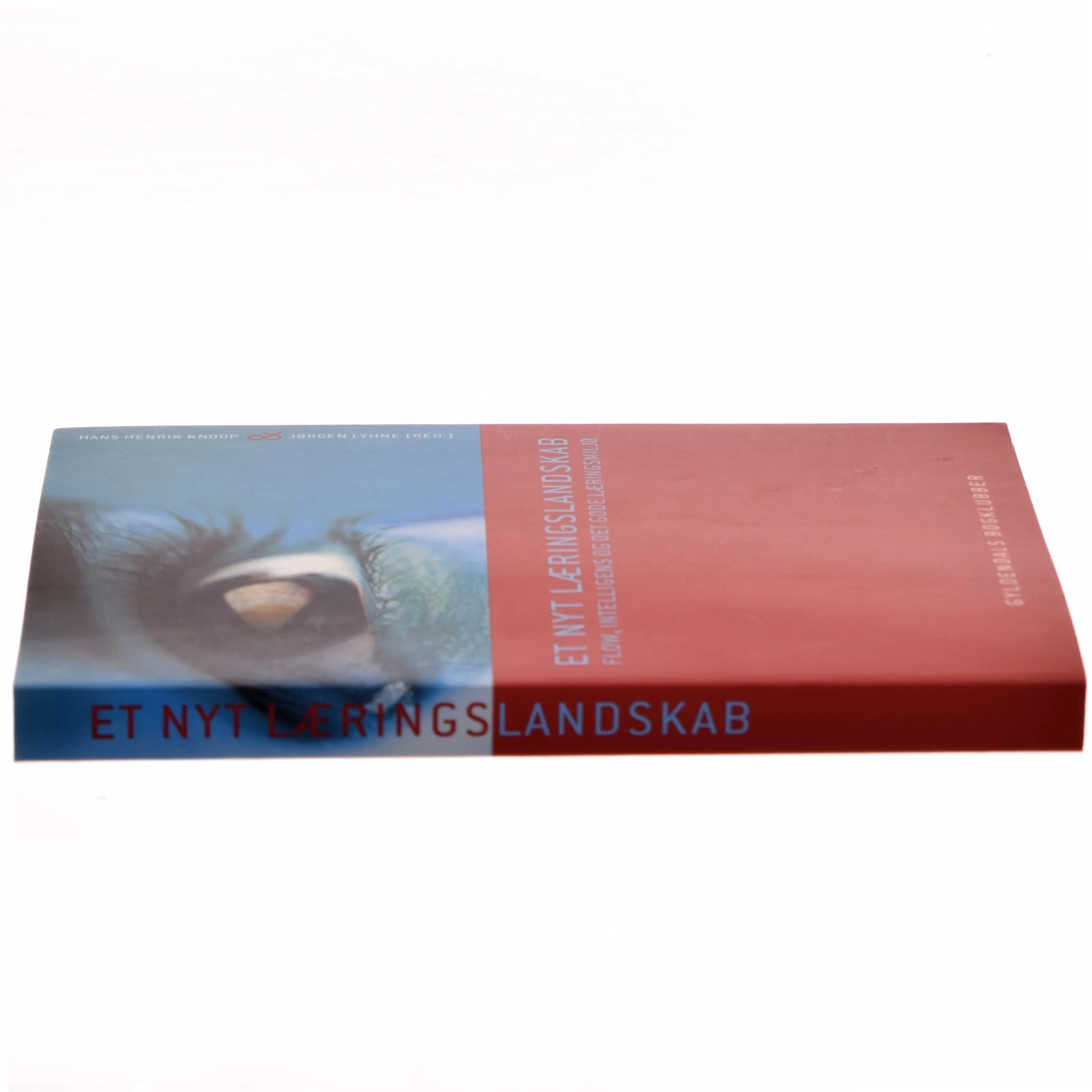 Et nyt læringslandskab : flow, intelligens og det gode læringsmiljø (Bog)