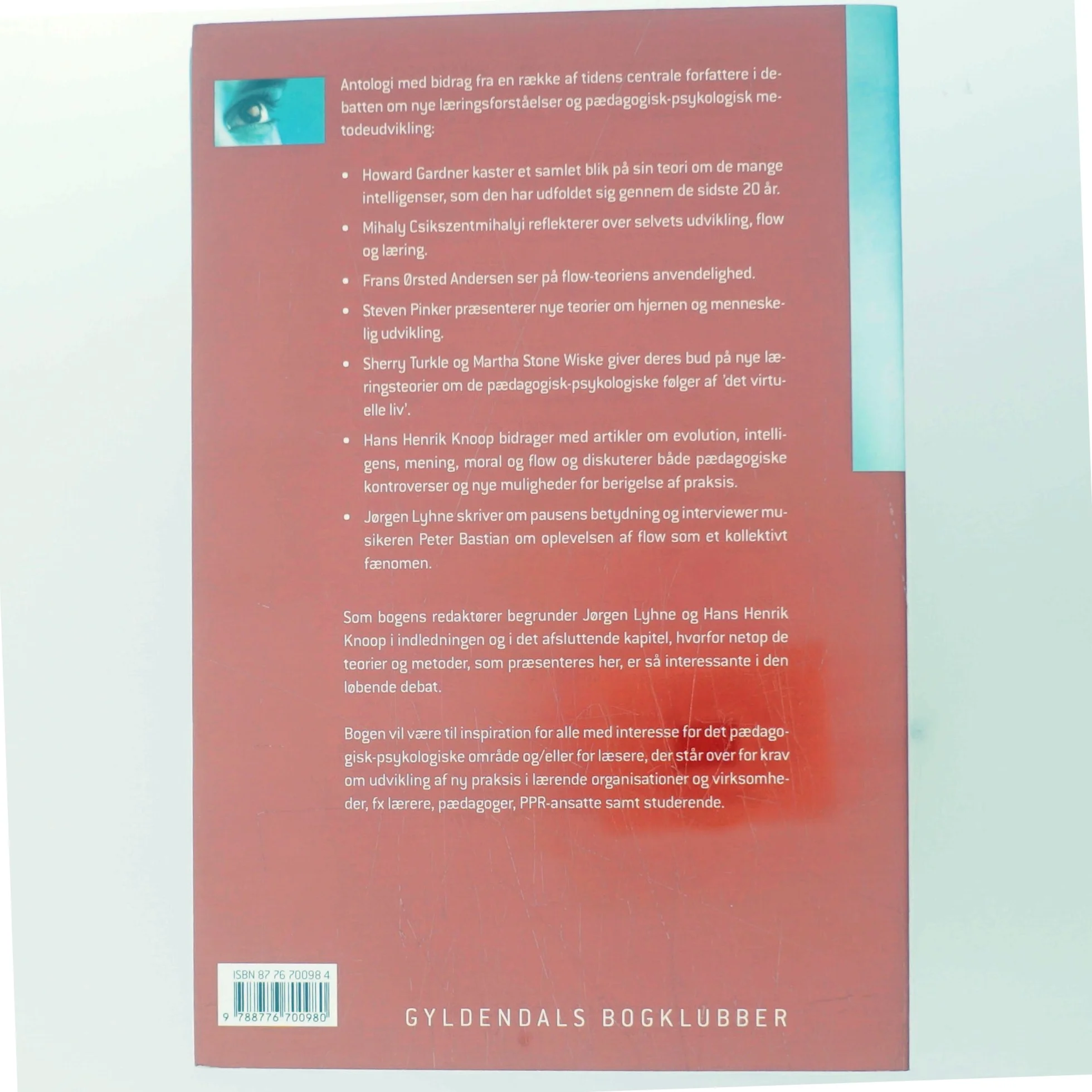 Et nyt læringslandskab : flow, intelligens og det gode læringsmiljø (Bog)