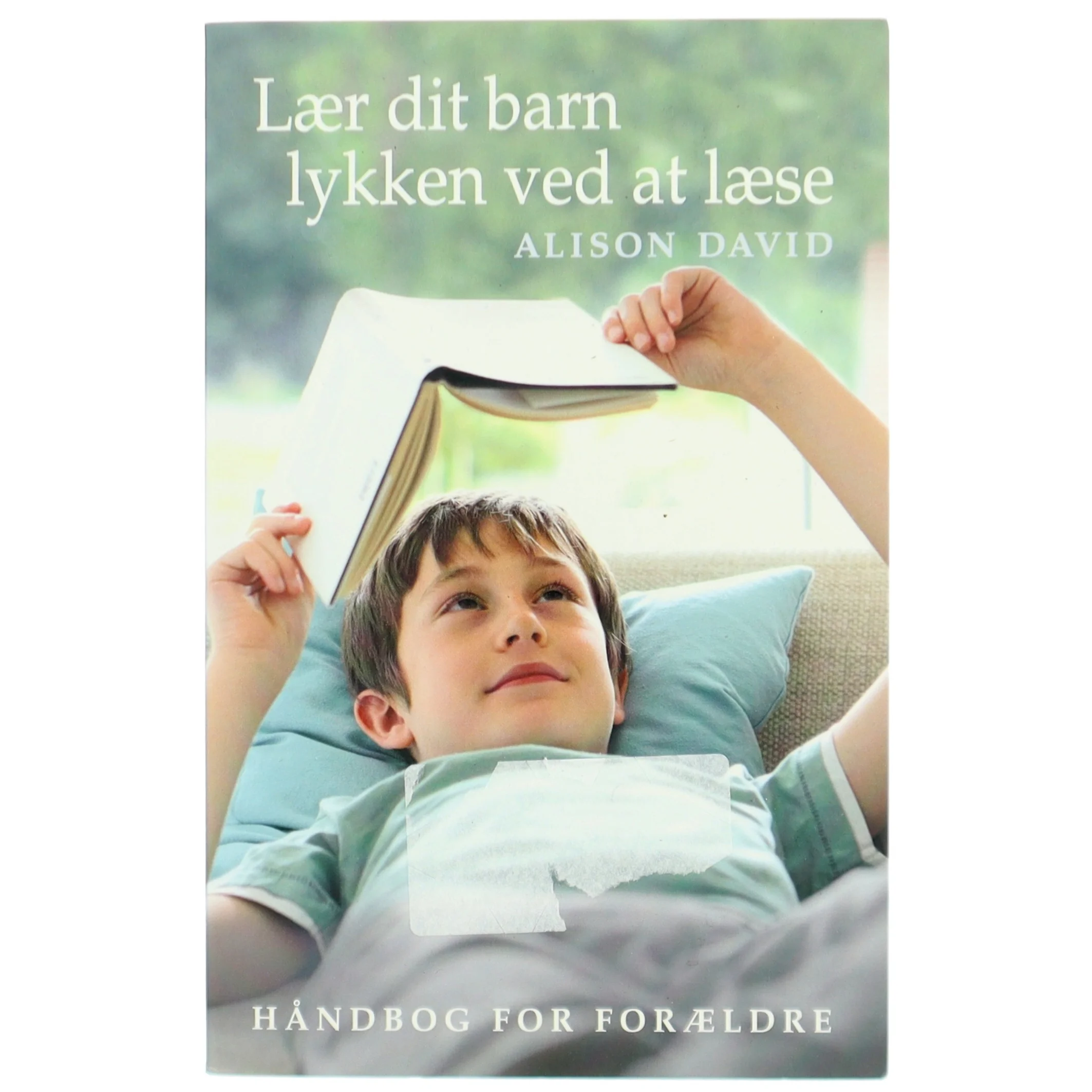 Lær dit barn lykken ved at læse : håndbog for forældre af Alison David (Bog)