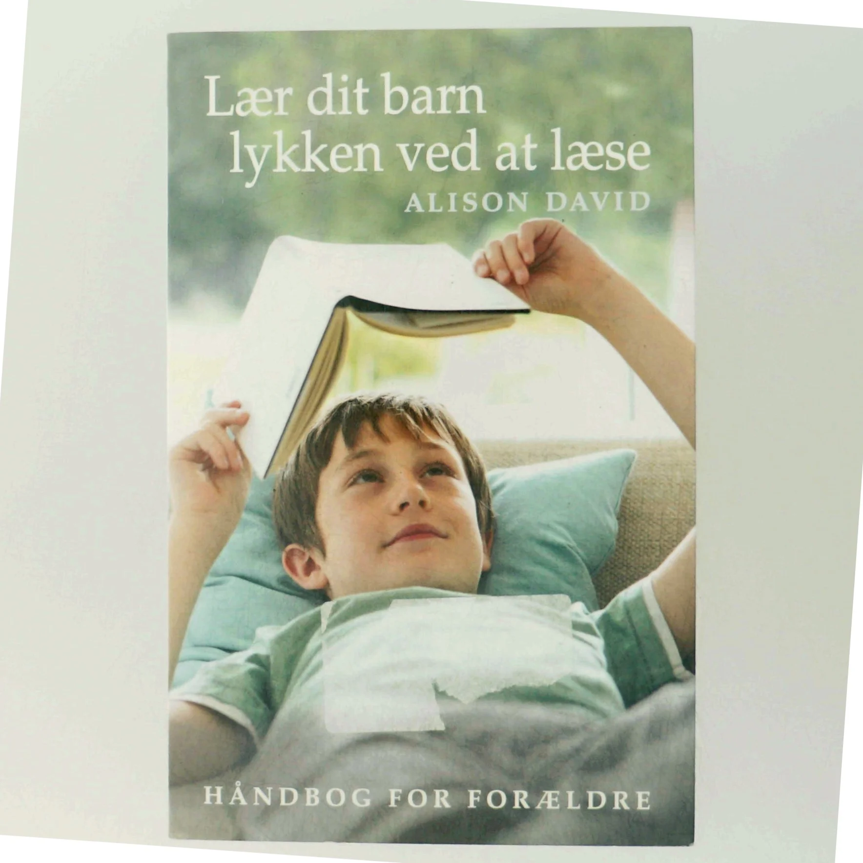 Lær dit barn lykken ved at læse : håndbog for forældre af Alison David (Bog)