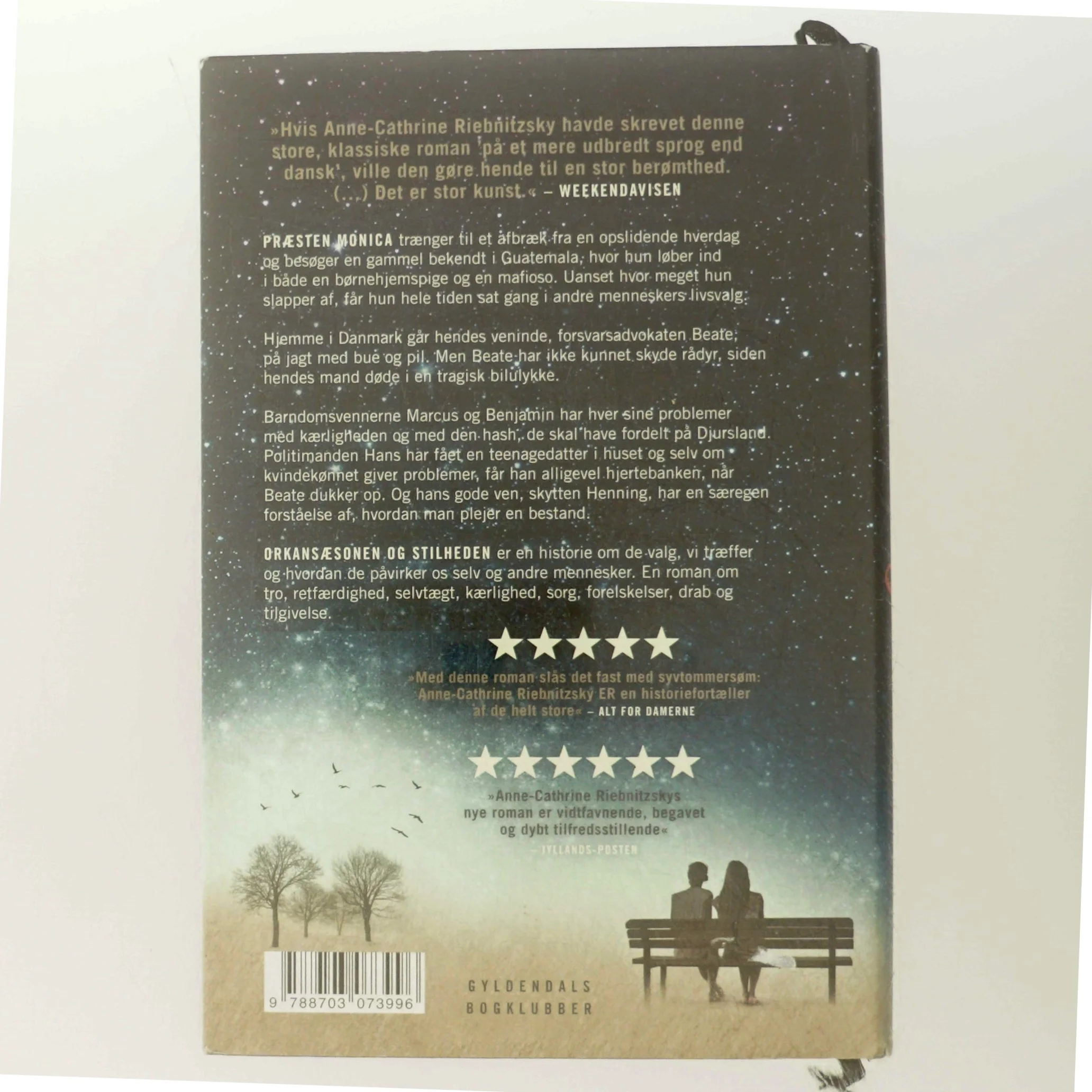 Orkansæsonen og stilheden : roman af Anne-Cathrine Riebnitzsky (Bog)